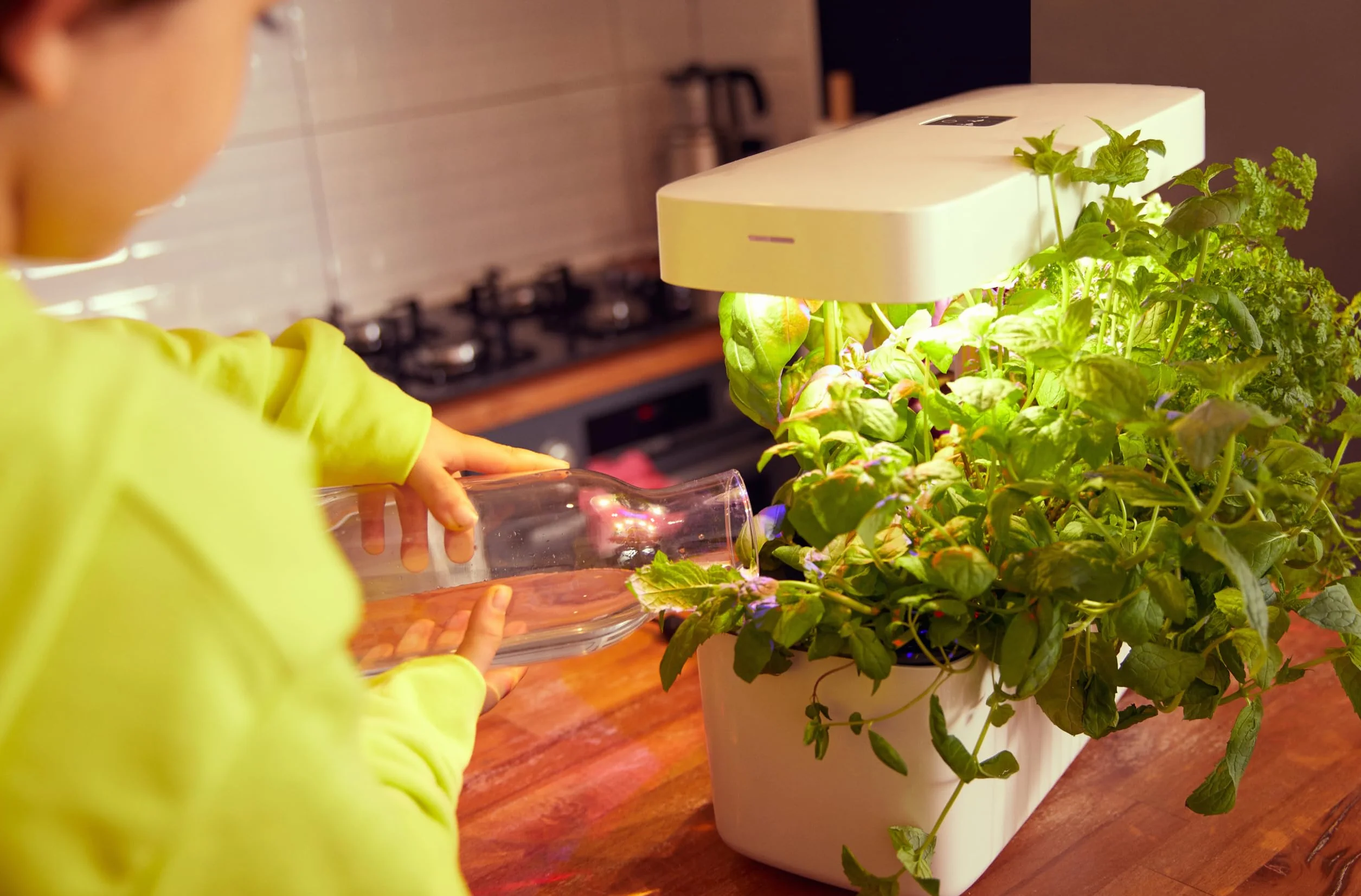Zestaw do nasion Smart Garden Seed Pod Zestaw, Lettuce Mix, 6 sztuk, do użytku wewnątrz