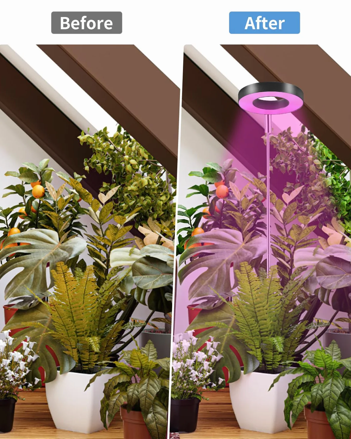 Lampa LED, pełne spektrum światła do roślin pokojowych, 3 tryby świecenia i 10 jasności, regulowana wysokość LED, lampa do wzrostu roślin z programatorem czasowym 3/9/12 h z adapterem USB