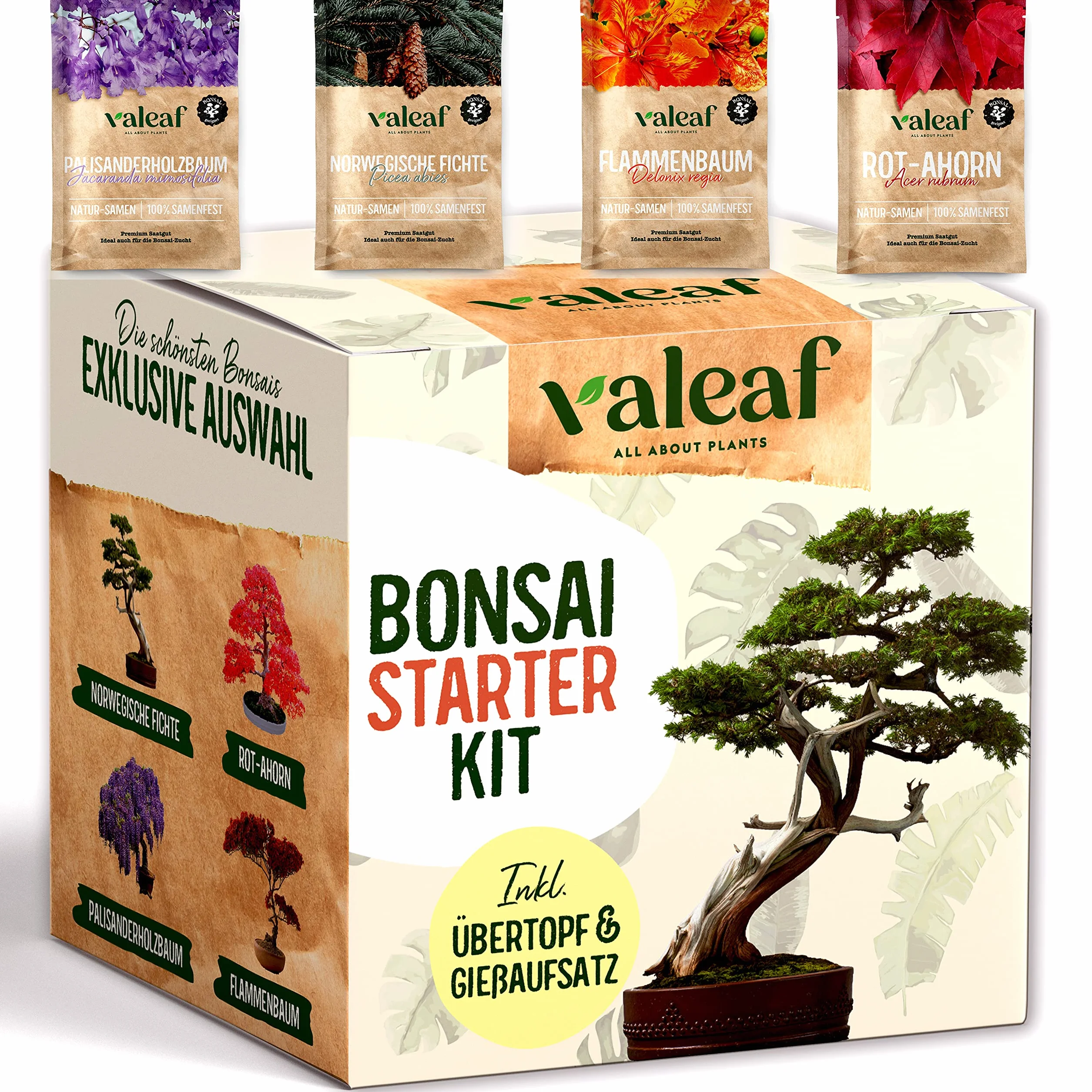 valeaf Zestaw startowy do bonsai, do uprawy własnego drzewka bonsai, zestaw zawiera 4 rodzaje nasion bonsai i akcesoria, dla początkujących