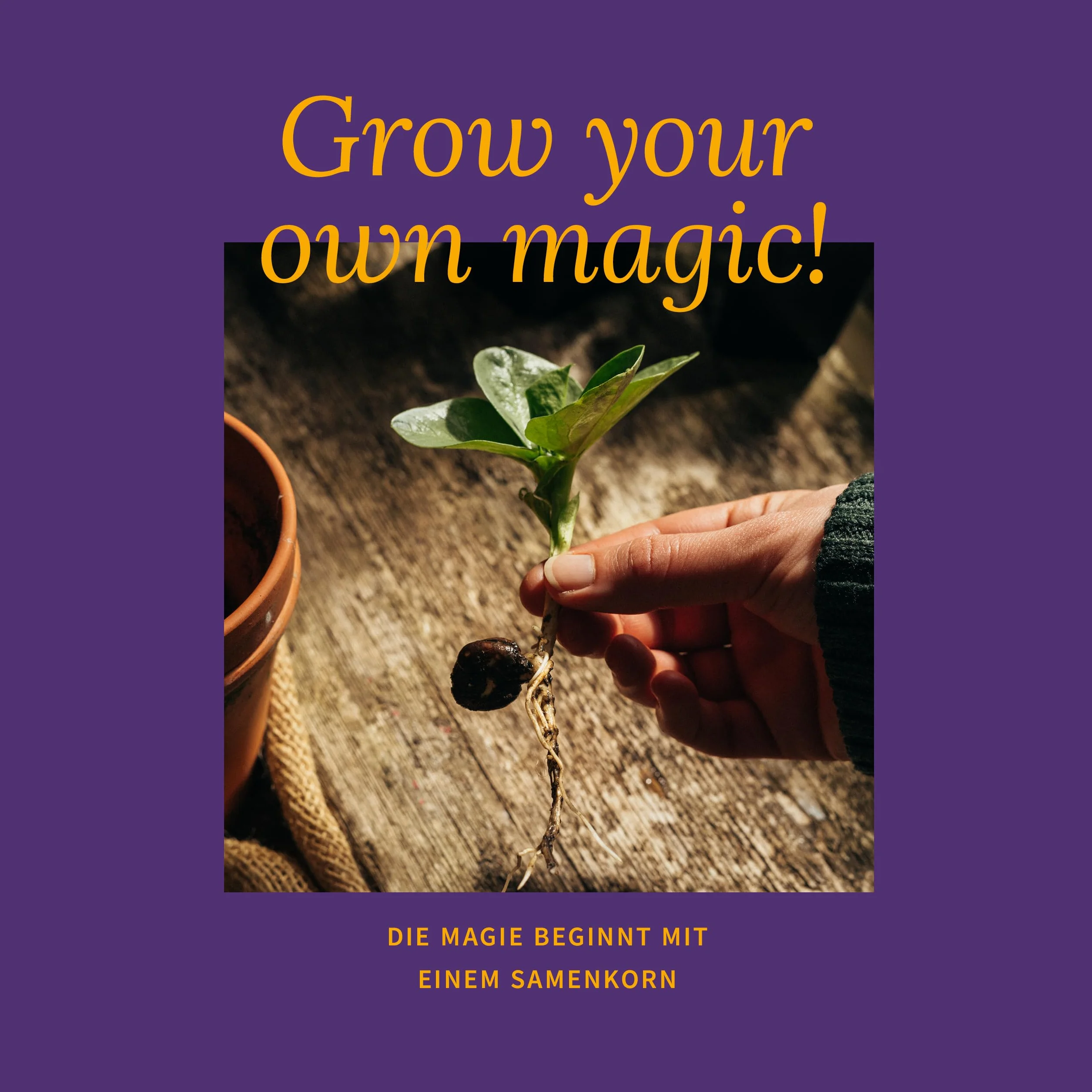 Magic Garden Seeds Zestaw nasion 4 odmian arbuz melon kavun