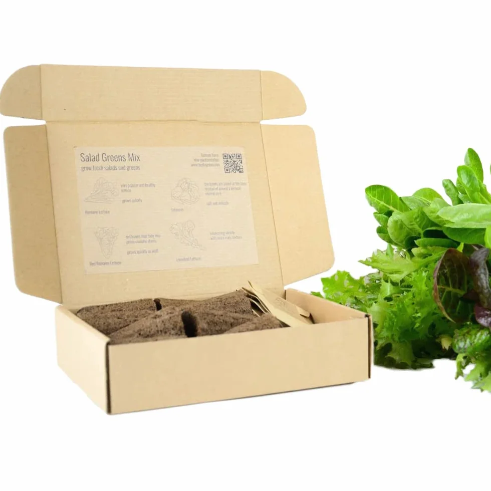 PlantPlugs kwartet do sałatek 8 sztuk
