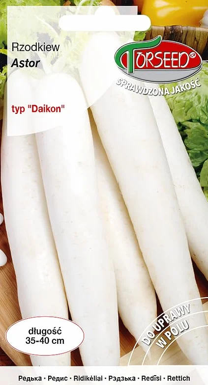 Astor Daikon nasiona rzodkiewki – cylindryczne korzenie, idealne do sałatek i wkładania, łatwe do ciągnięcia, wszechstronne do ogrodnictwa na zewnątrz i w pojemnikach (5 g)