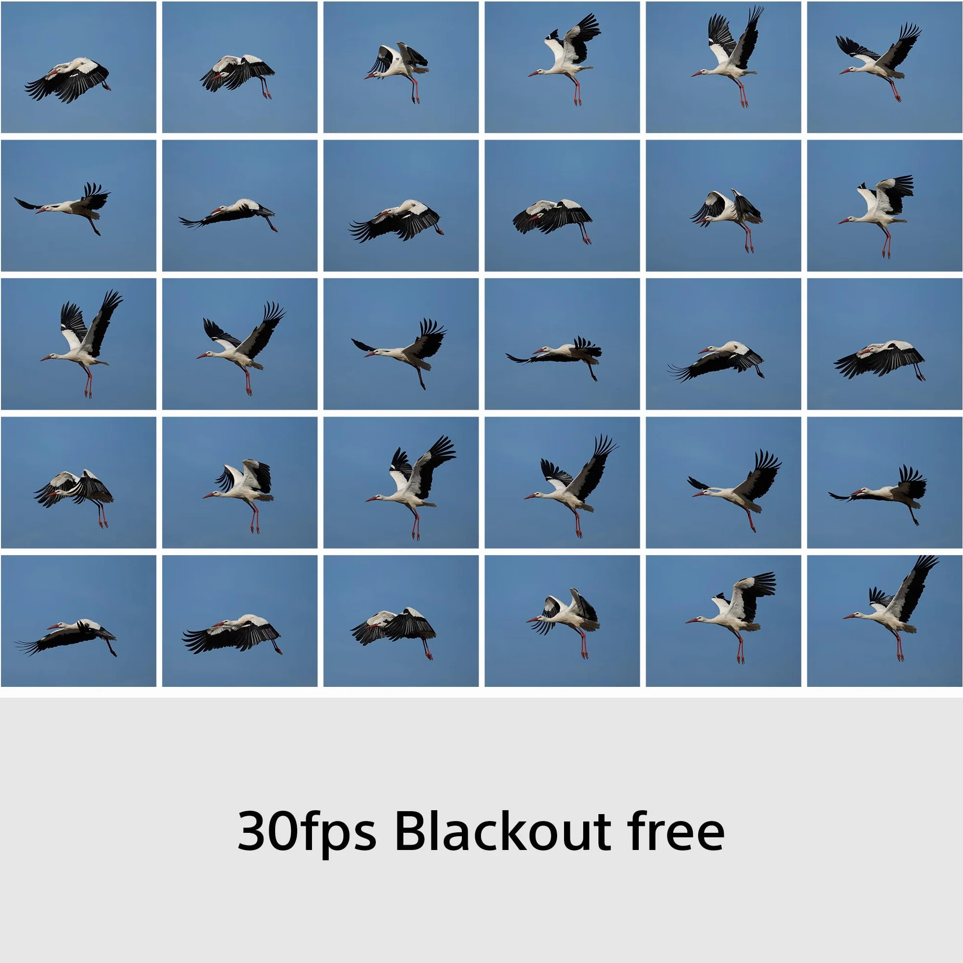 Sony RX10 V Aparat z dużym zoomem 24–600 mm, autofokusem z rozpoznawaniem obiektów w czasie rzeczywistym, matrycą 20,1 MP i trybem zdjęć seryjnych 30 kl./s bez zaciemniania ekranu