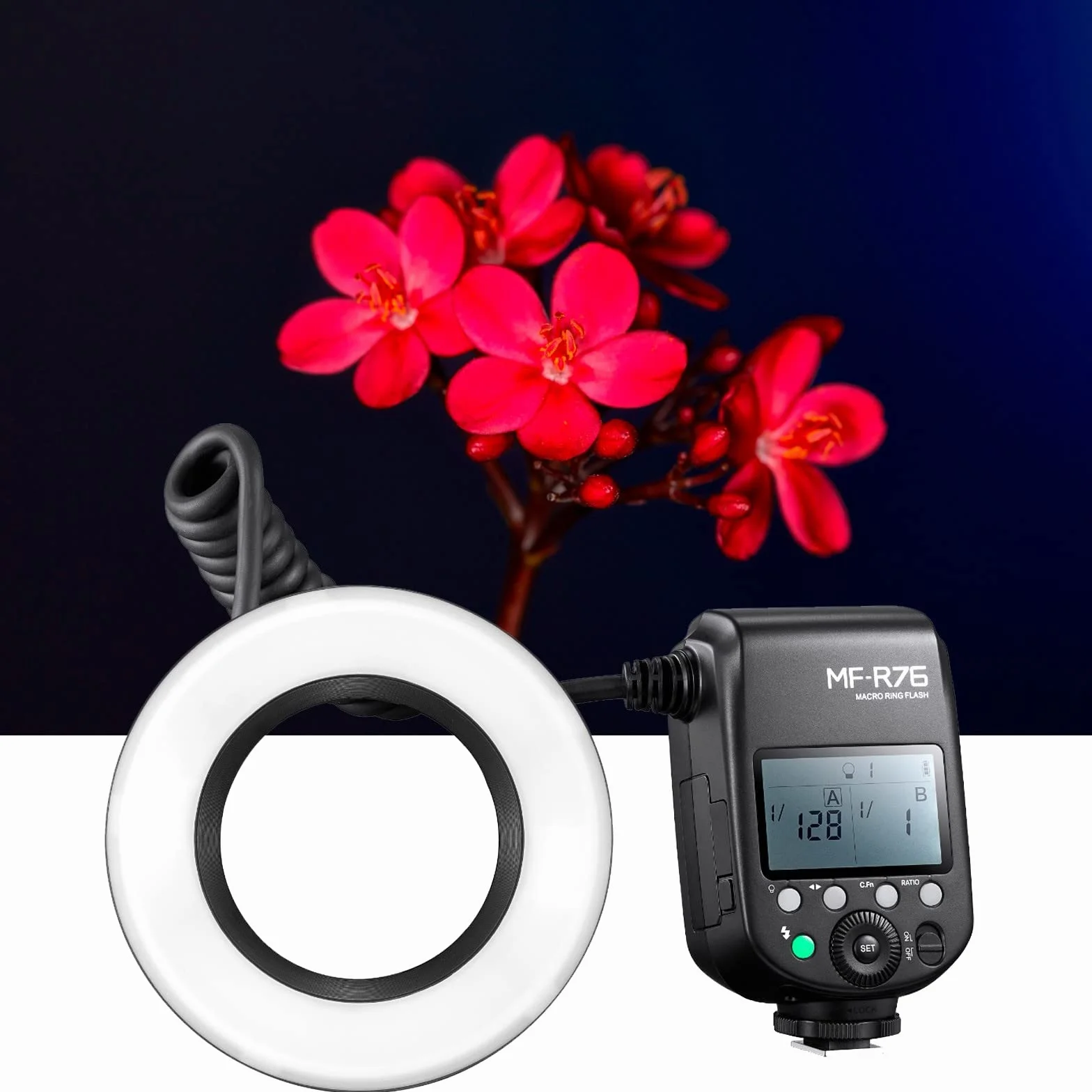 Godox MF-R76 lampa błyskowa makro, regulacja mocy od 1/128 do 1/1, akumulator litowy wielokrotnego ładowania, 10 poziomów mocy, kompatybilny z aparatami Canon, Nikon, Sony i innymi lustrzankami