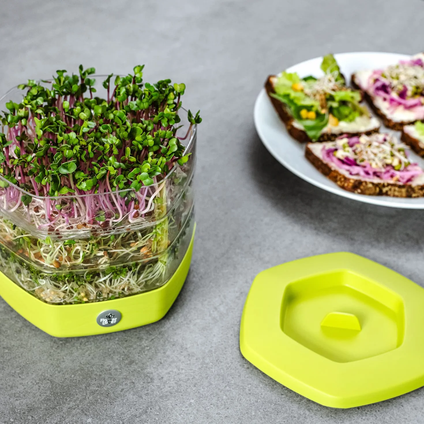 Zestaw Tac do Kiełkowania z 3 Poziomami, ø 17 cm - Wieża do Kiełków, Rzeżuchy, Mikrogreenów - Designerskie Sito z Wysokiej Jakości Tworzywa Sztucznego (Szary)