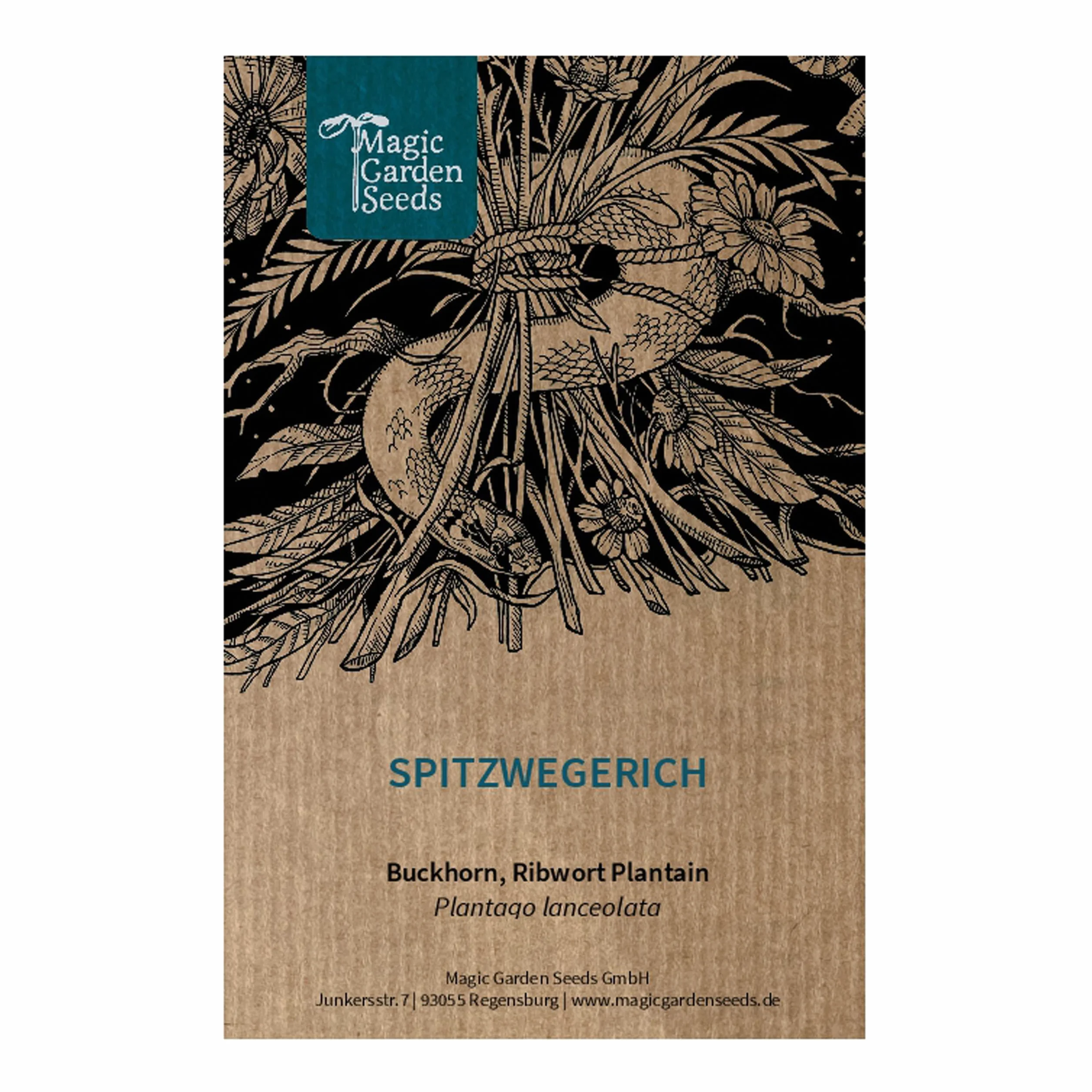 Babka lancetowata (Plantago lanceolata) - ok. 400 nasion