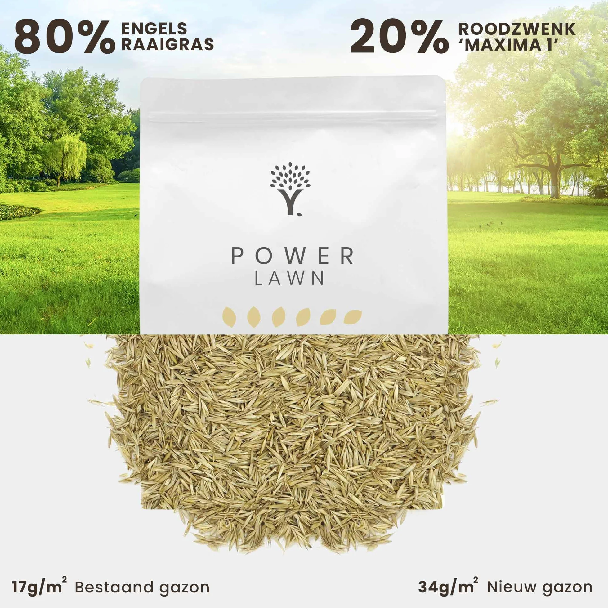 MOOWY Power Lawn Nasiona Trawy 50m² Super Sprężyste Szybko Rosnące