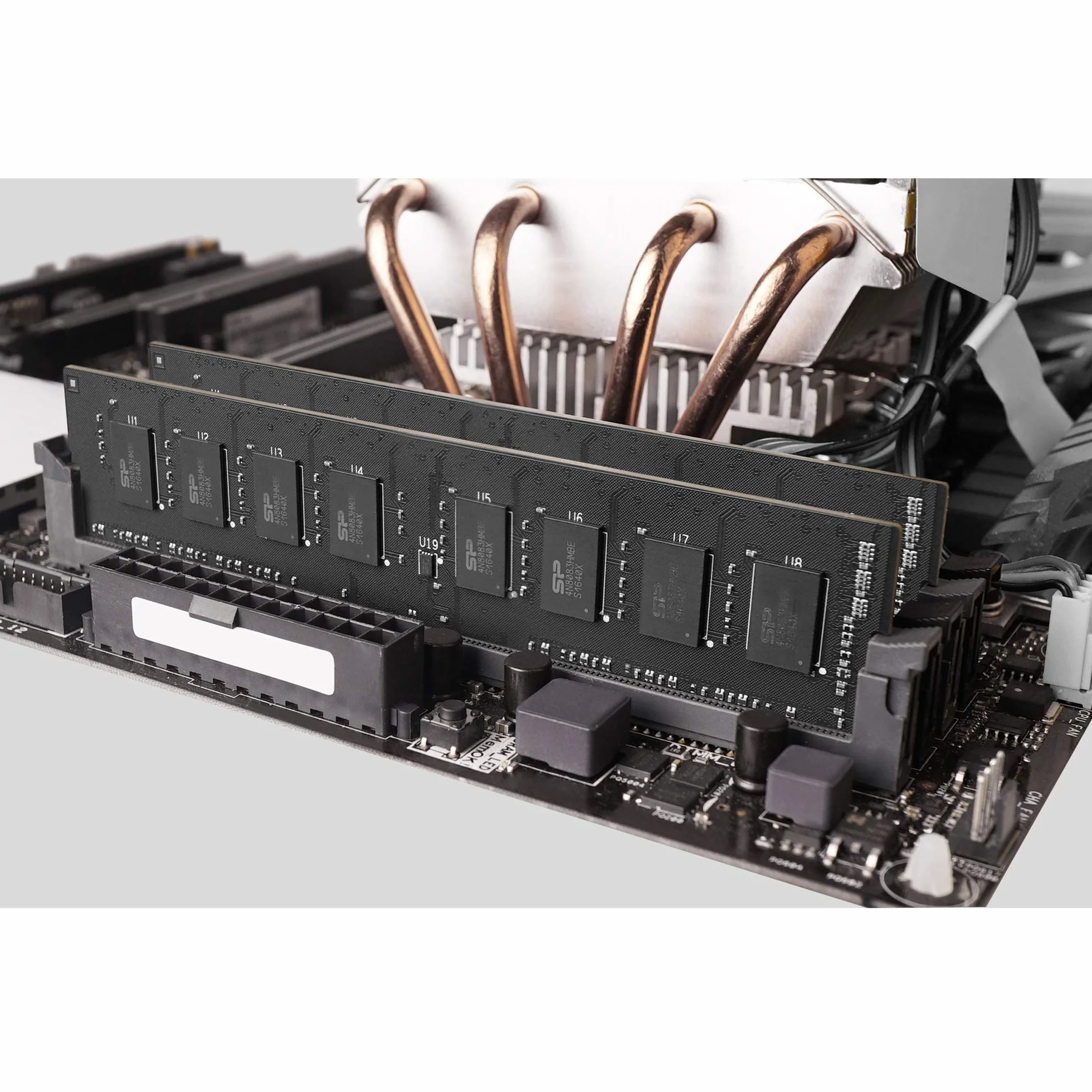 SP Silicon Power 32 GB (2 x 16 GB) - DDR4-2666 MHz 288-pinowa pamięć CL19 1,2 V bez ECC niebuforowana-UDIMM - kompatybilna z platformami Intel Skylake-X/płytami głównymi serii procesorów Kaby Lake-X