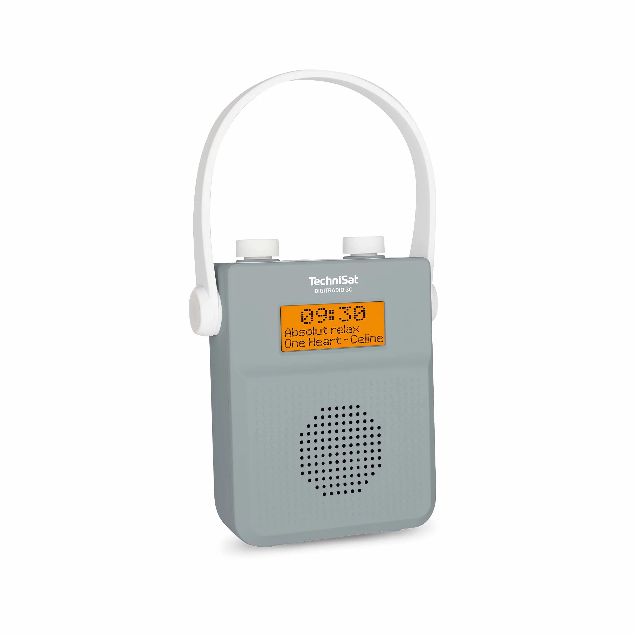 Technisat Digitradio 30 0000/3955 Radio Prysznicowe Dab, Szary, 2 W