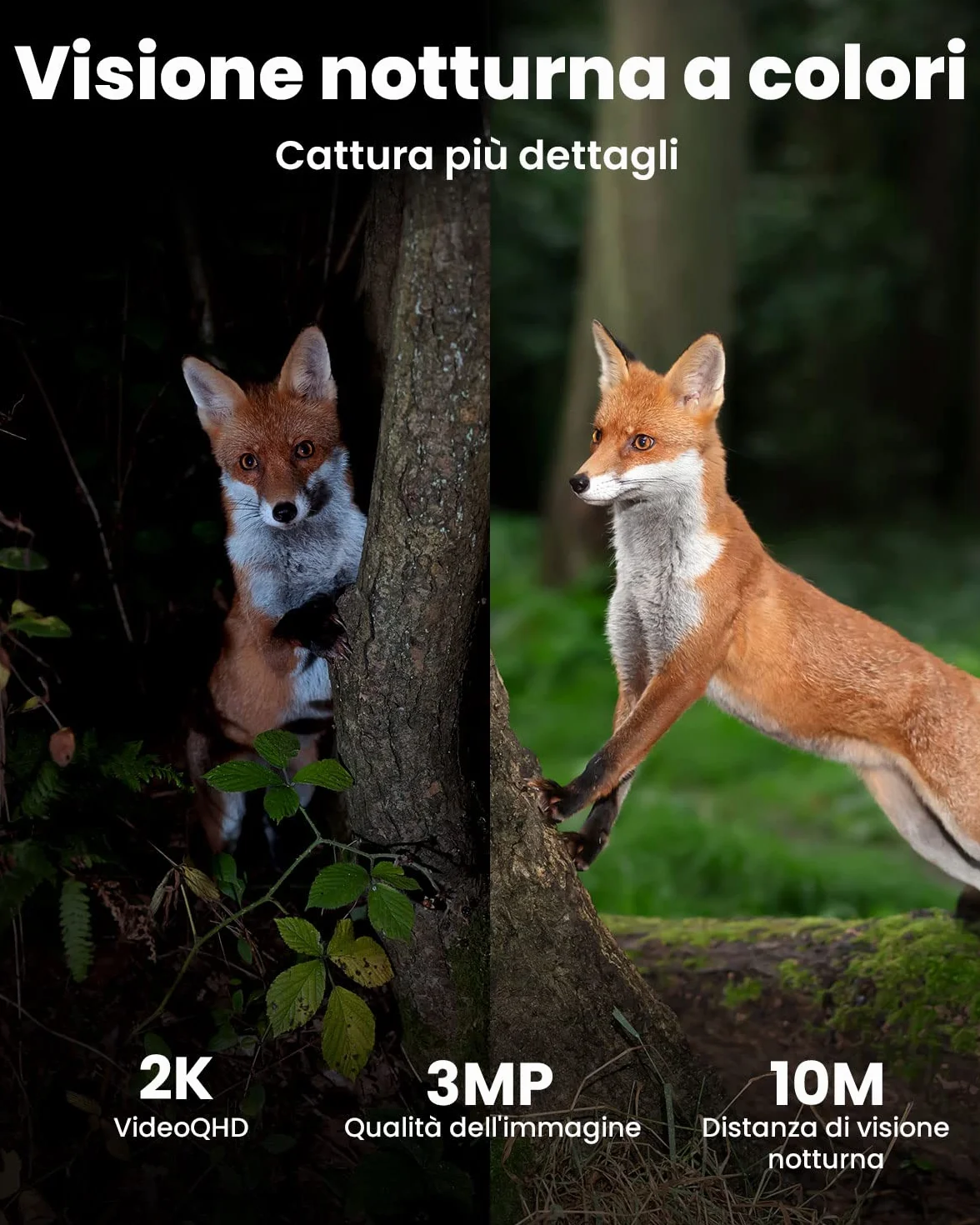 ieGeek Zewnętrzna bezprzewodowa kamera Wi-Fi 5MP, wewnętrzna kamera monitorująca WiFi bateria z reflektorami i alarmem, detekcja ruchu PIR, kolorowy noktowizor, 2 drogi audio,Work with Alexa