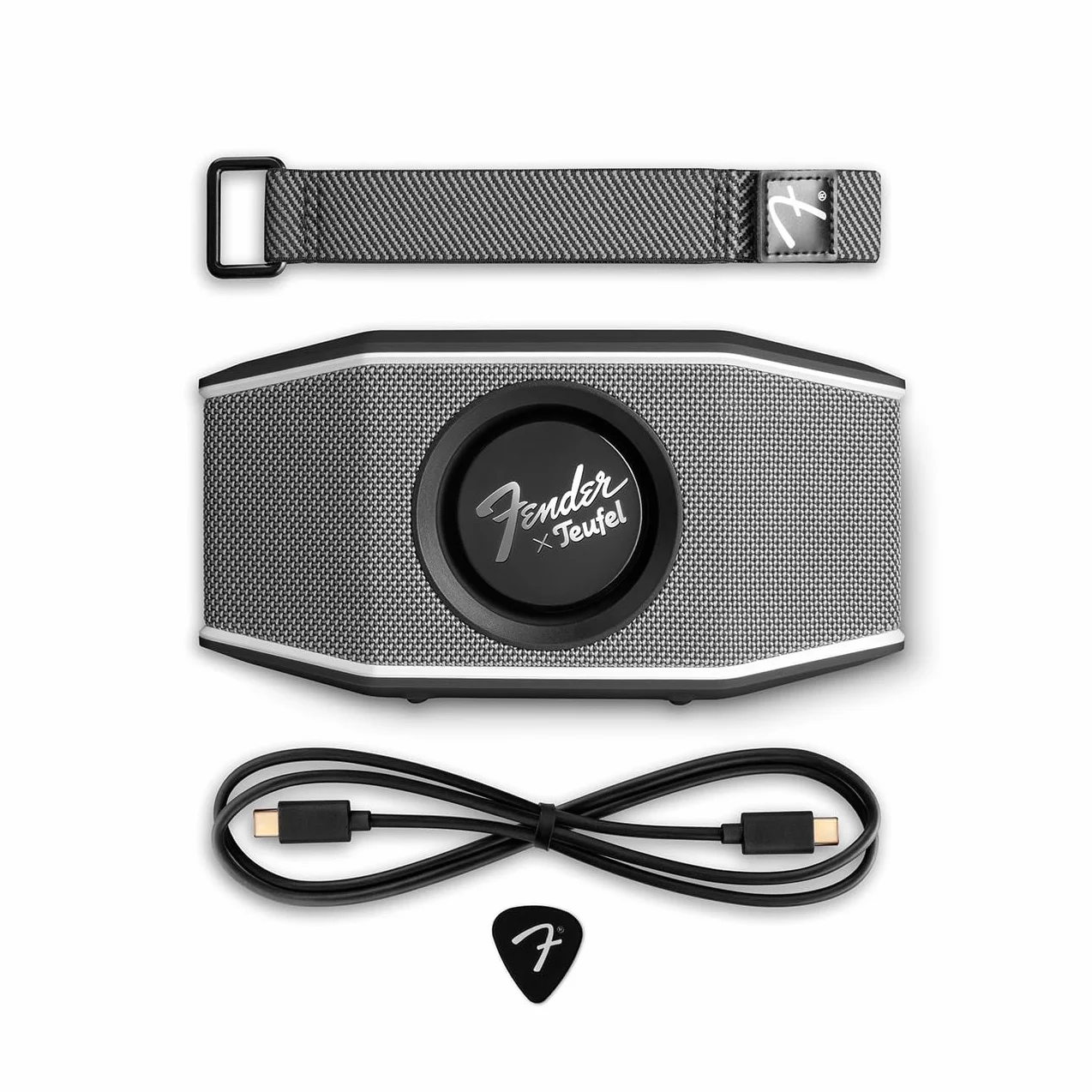 Głośnik Bluetooth Fender x Teufel ROCKSTER GO 2 – przenośny głośnik do użytku na zewnątrz, długi czas pracy baterii (28 h), stopień wodoszczelności IP67, bezprzewodowe przesyłanie muzyki - Steel Black