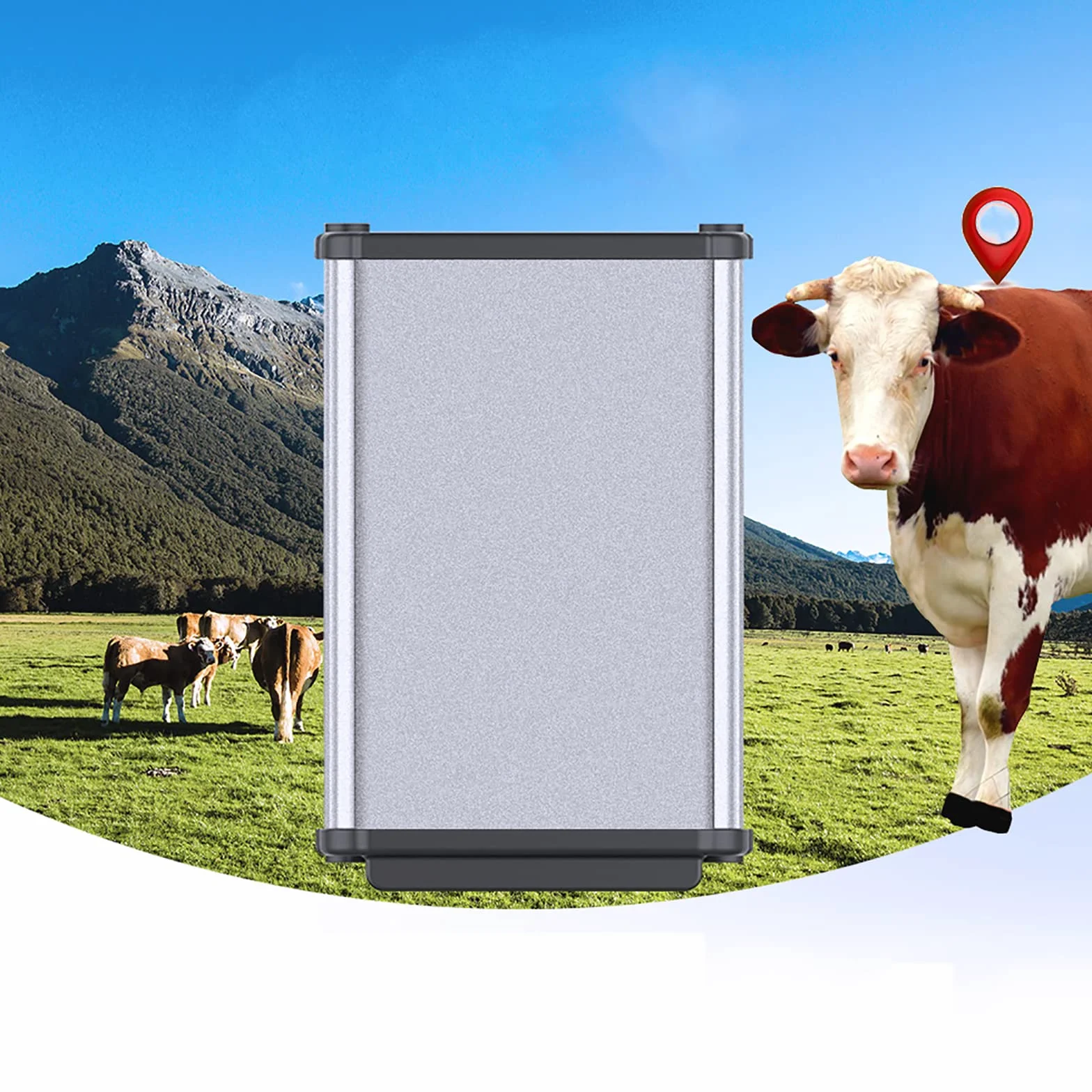 Lokalizator GPS Krów, 18000 MAh Urządzenie Do Śledzenia Bydła, Koni I Wielbłądów, Ślad Historyczny, Pozycjonowanie W Czasie Rzeczywistym, Ustawienie Zasięgu I Alarm Wibracyjny