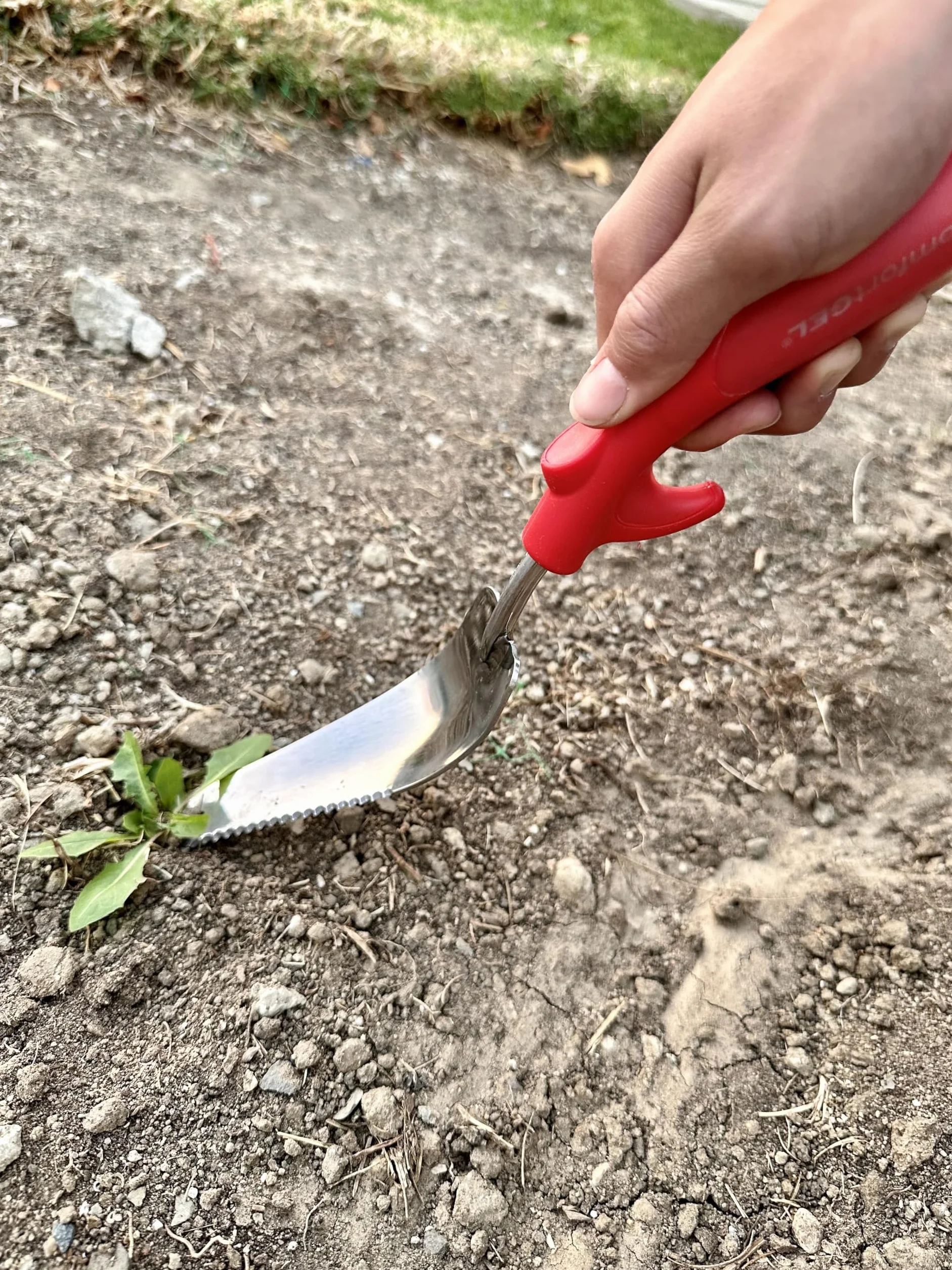 Corona CT 3254 ComfortGEL Weeder