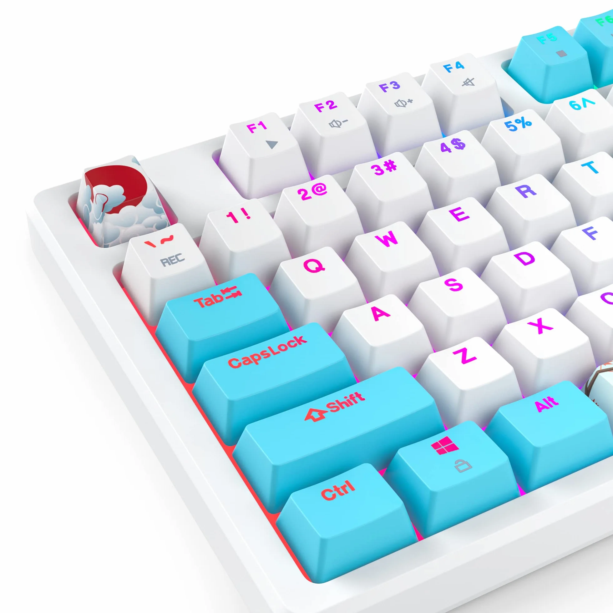 SOLIDEE Przenośna klawiatura mechaniczna do gier 80%,87 klawiszy kompaktowa klawiatura przewodowa z podświetleniem RGB,klawiatura biurowa z przełącznikami liniowymi czerwonymi dla(87 Sea)