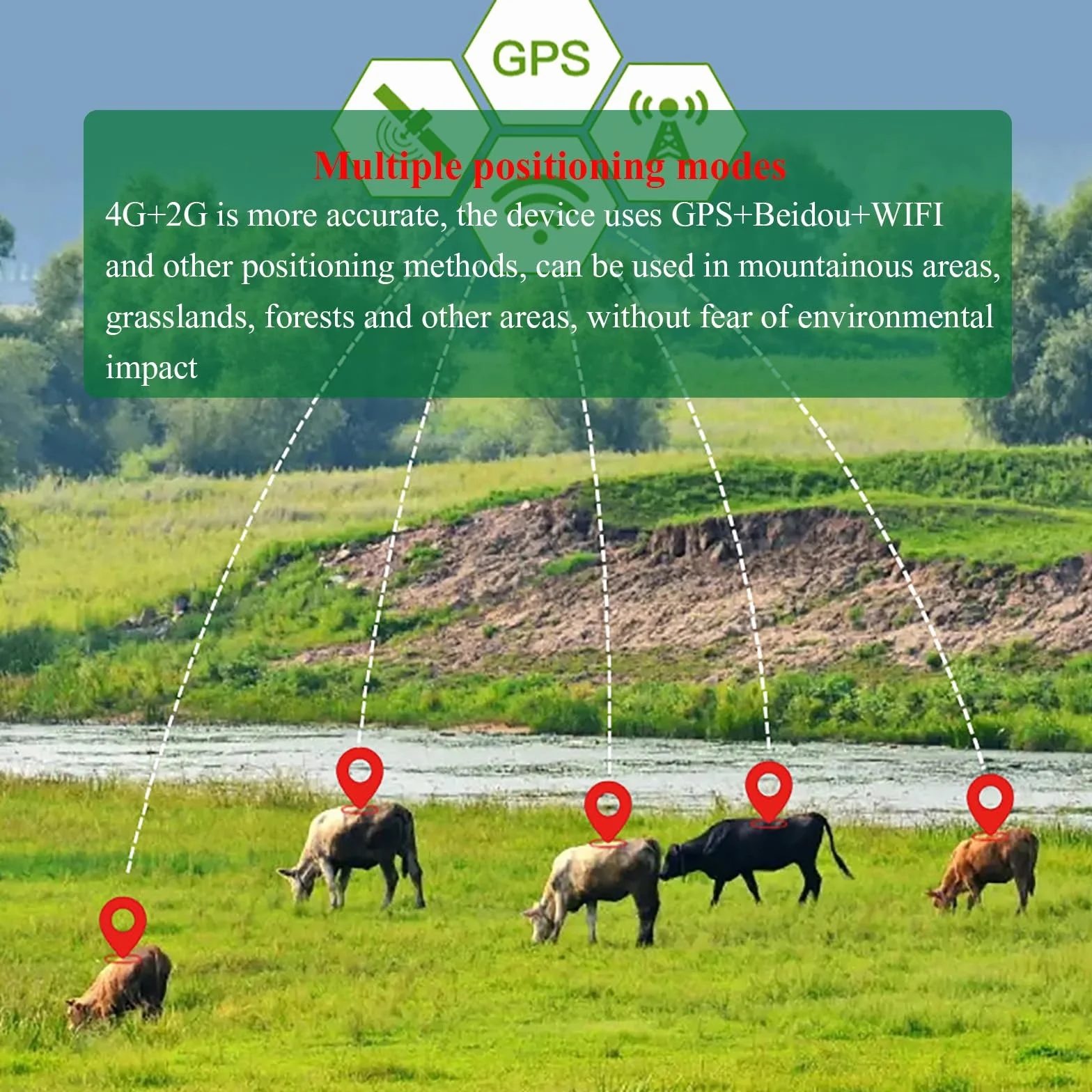 Lokalizator Zwierząt 4G+2G, Lokalizator GPS Zapobiegający Zgubieniu, Duża Pojemność 20000 MAh, Wiele Alarmów, Wielokrotne Pozycjonowanie, Odtwarzanie Historycznych Utworów