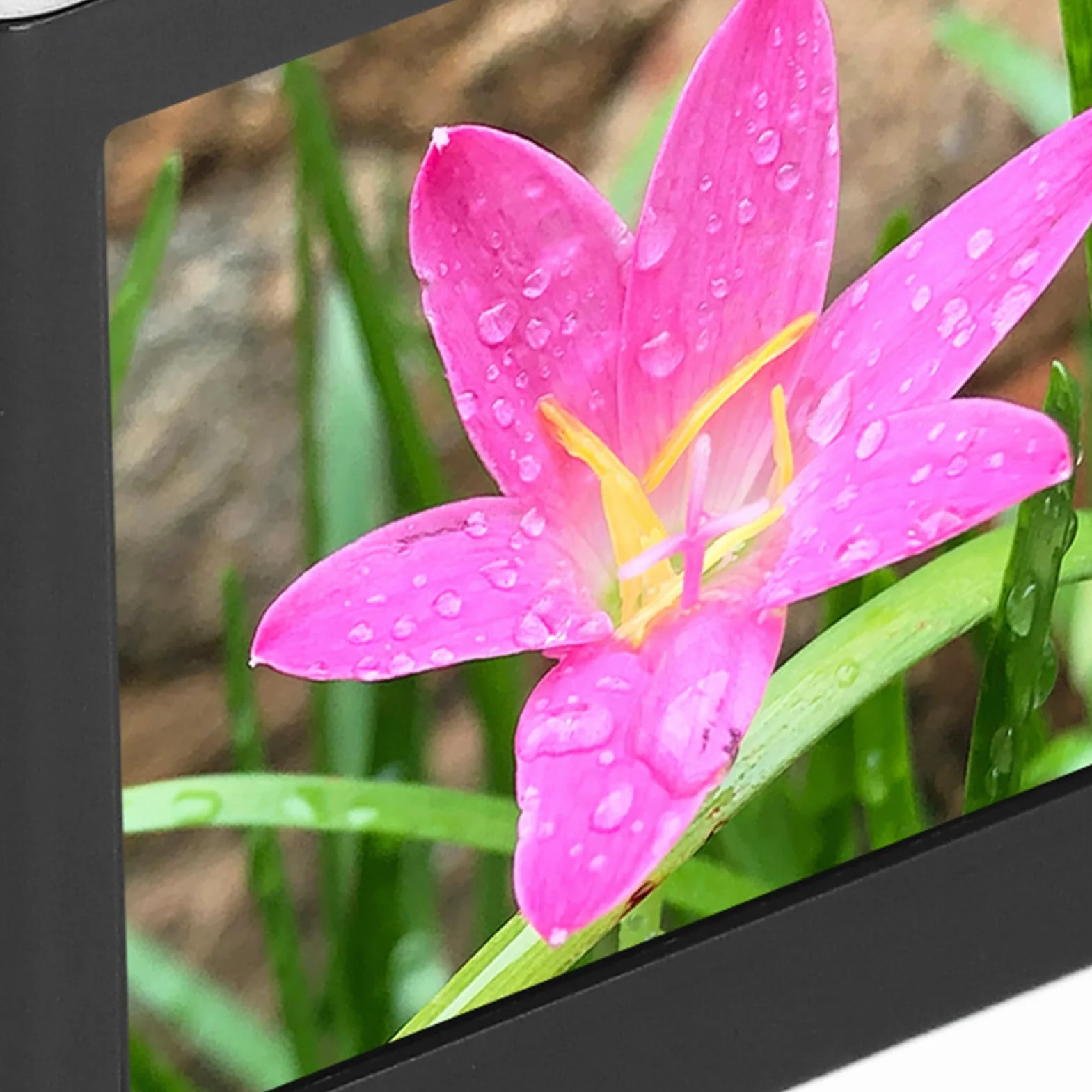 Cyfrowy Aparat Fotograficzny 4K do Fotografii, Aparat do Vlogowania z 16-krotnym Zoomem, Kompaktowa Podróżna Kamera Wideo 50 MP z Autofokusem i światłem Wypełniającym, dla (BLACK)