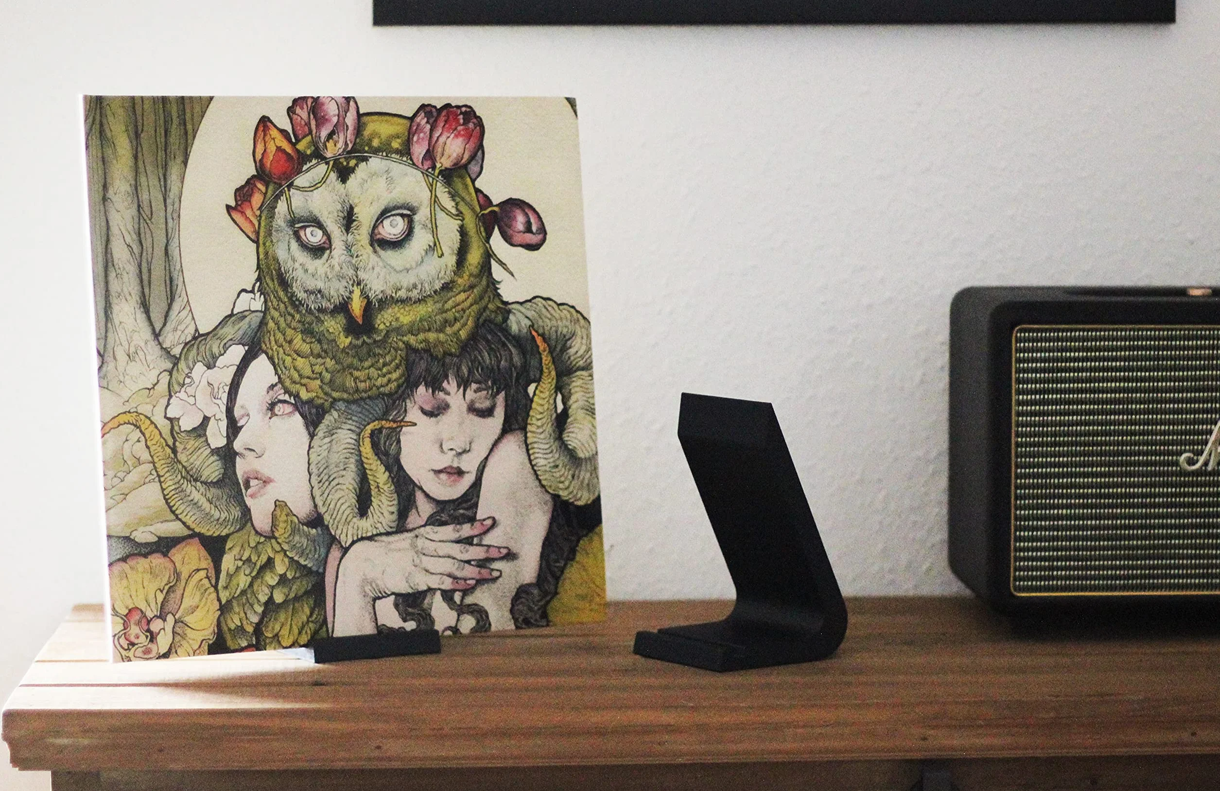 NewGround Designs Stojak LP wyświetlacz winylowy stojak na płyty gramofonowe 12"