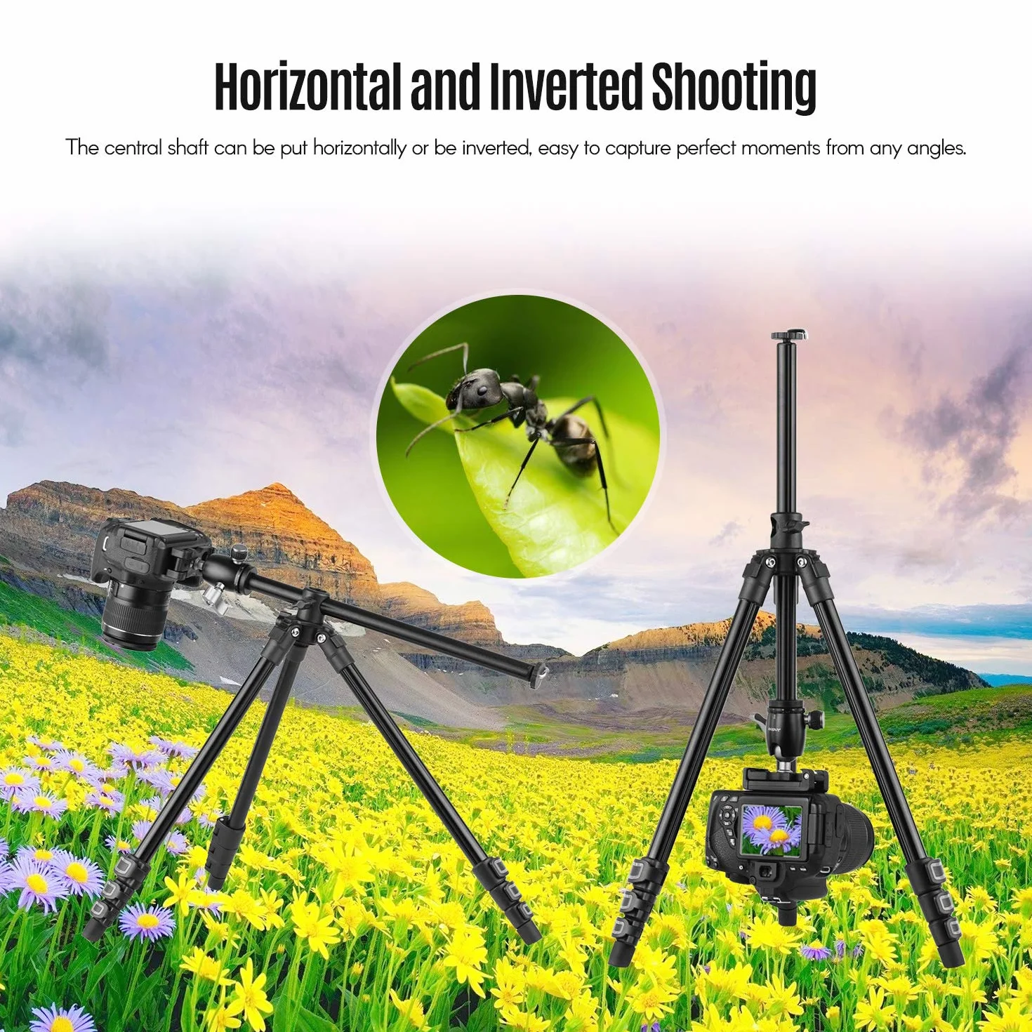 Andoer Q160H statyw do aparatu fotograficznego, poziomy, profesjonalny statyw podróżny z panoramiczną głowicą kulową 360°, uchwyt na telefon, pilot zdalnego sterowania, do lustrzanek cyfrowych, smartfonów, kompatybilny z Canon Nikon Sony