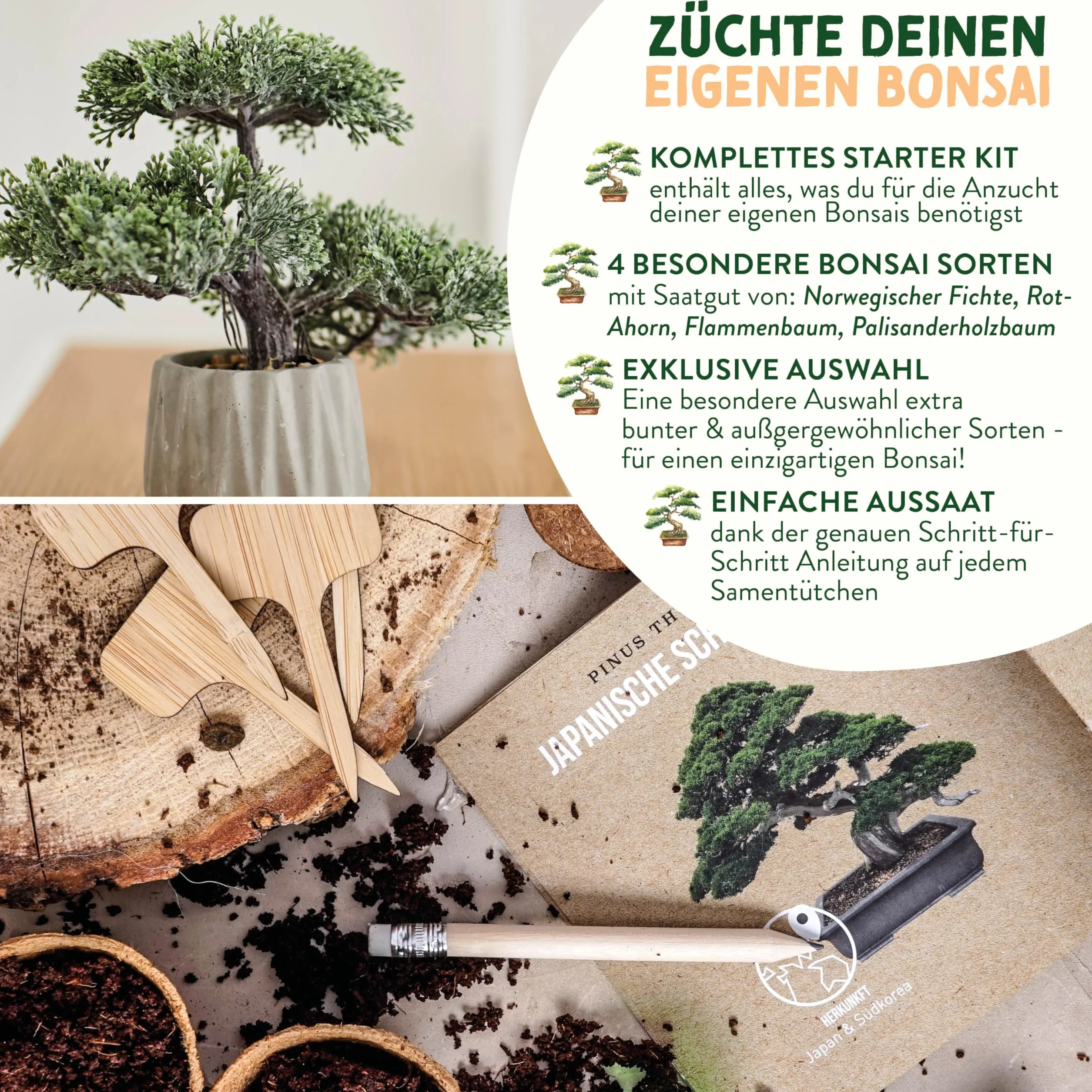 valeaf Zestaw startowy do bonsai, do uprawy własnego drzewka bonsai, zestaw zawiera 4 rodzaje nasion bonsai i akcesoria, dla początkujących