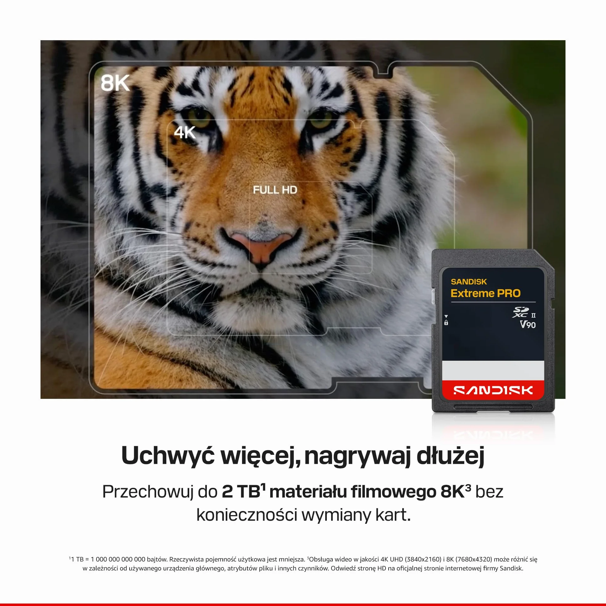 SANDISK Extreme PRO UHS-II V90 Karta SD 256 GB (prędkość odczytu do 310 MB/s, prędkość zapisu do 304 MB/s, współpracuje z lustrzankami i aparatami bezlusterkowymi)