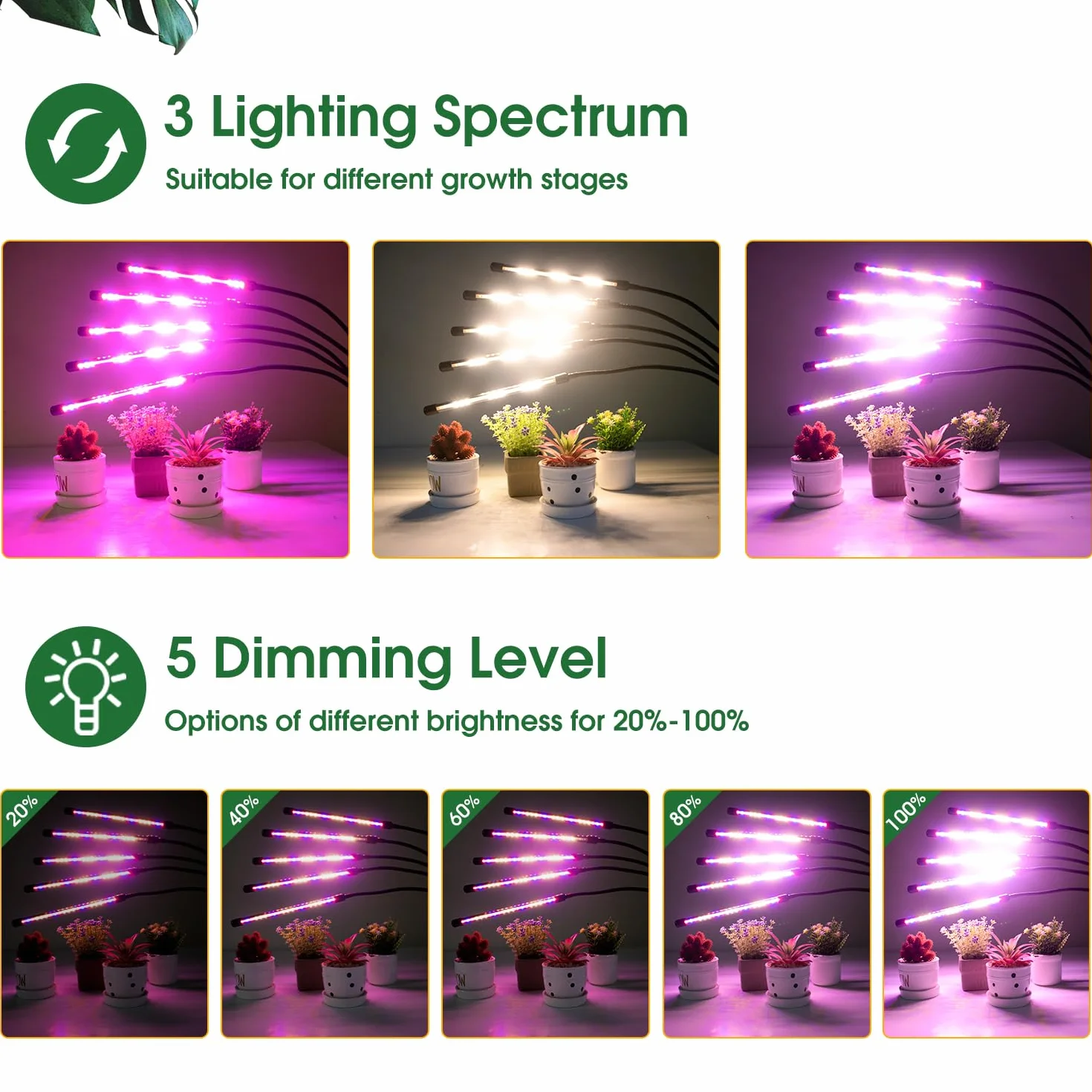 Lampa do uprawy LED 100 diod pełne spektrum 5-głowicowa z automatycznym timerem 6/12/16H