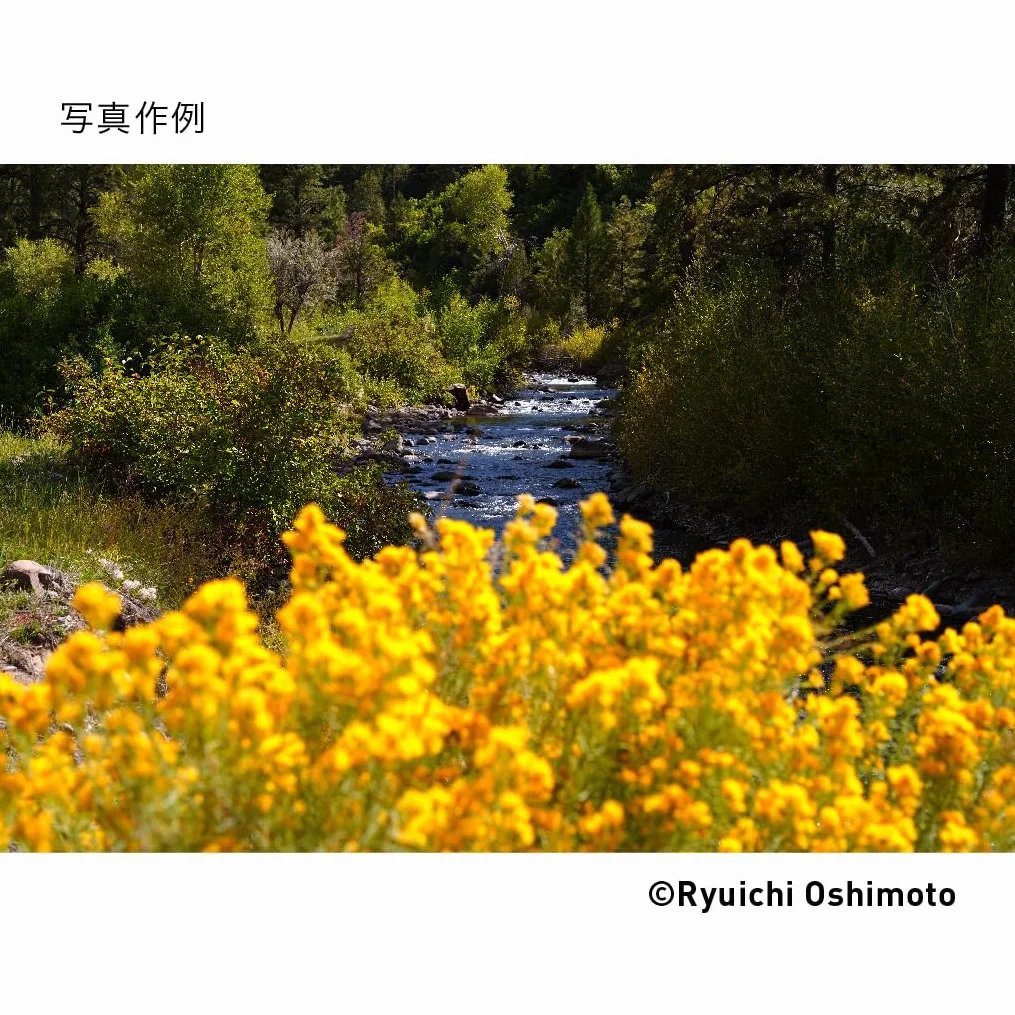 Sigma obiektyw 28-70 mm F2,8 DG DN mocowanie Sony E