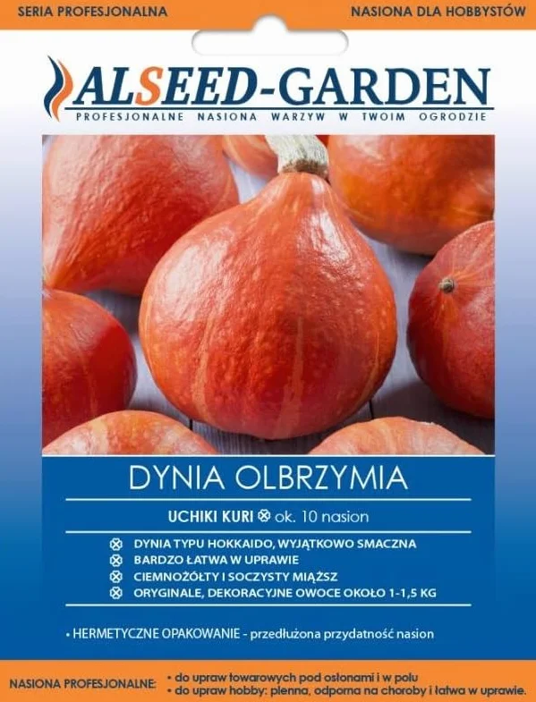 Dynia Olbrzymia Uchiki Kuri Hokkaido Nasiona Holenderskie