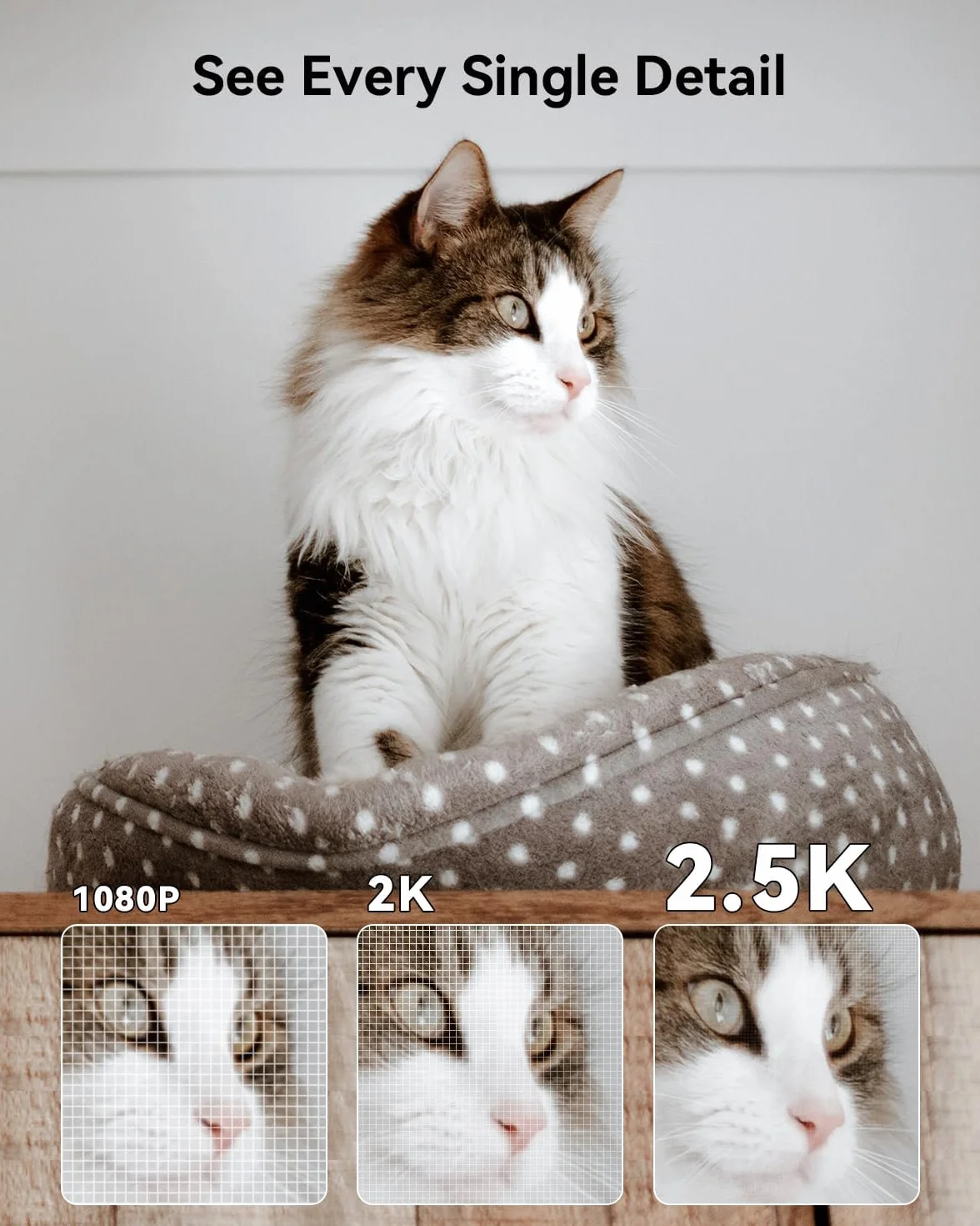 Imou 2.5K (4MP) Kameraövervakning WiFi Inomhus 360 ° Kamera Ansluten Smartphone Människodetektering AI Smart Spårningssiren Tvåvägsljud Privat läge Kompatibel Alexa för Baby/Husdjur