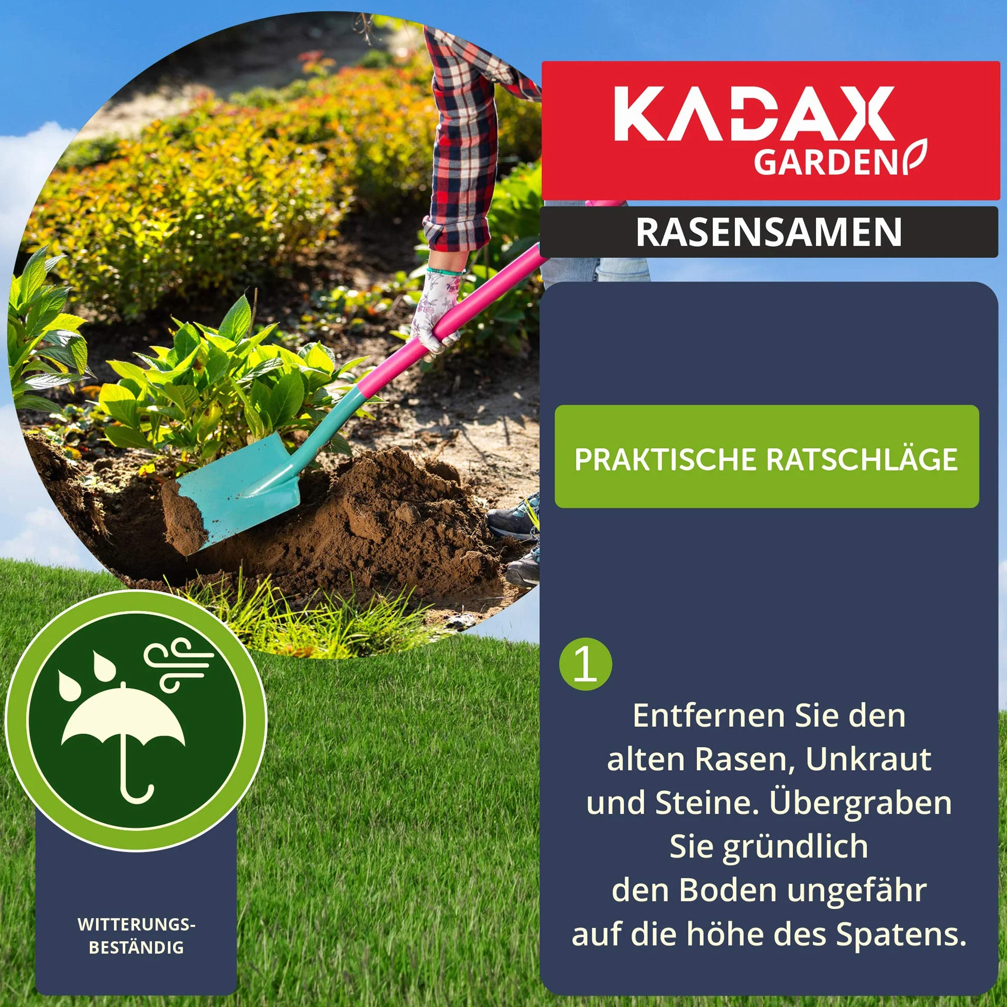 KADAX mieszanka nasion trawy uniwersalna 400 m² 10 kg