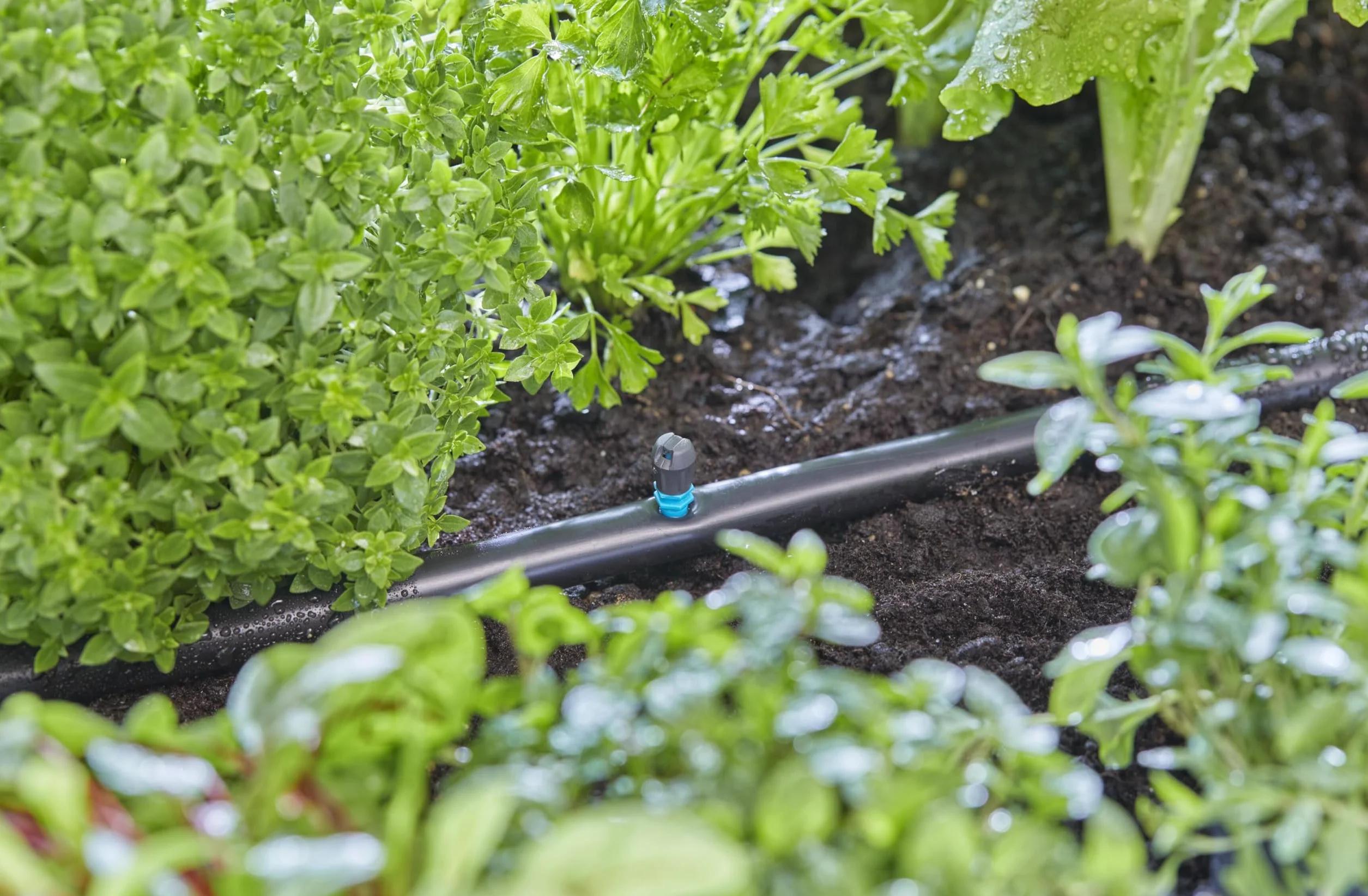 Gardena system Micro-Drip dysza pasmowa: Dysza rozpylająca do systemu nawadniania, do wąskich podłużnych powierzchni maks. 0,6 x 5,5 m, prosta technika połączeniowa (13319-20)