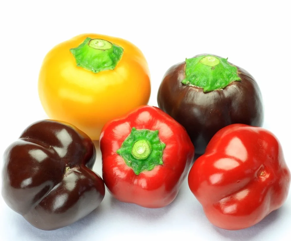 Sweet Pepper mieszane nasiona – pieprz capsicum