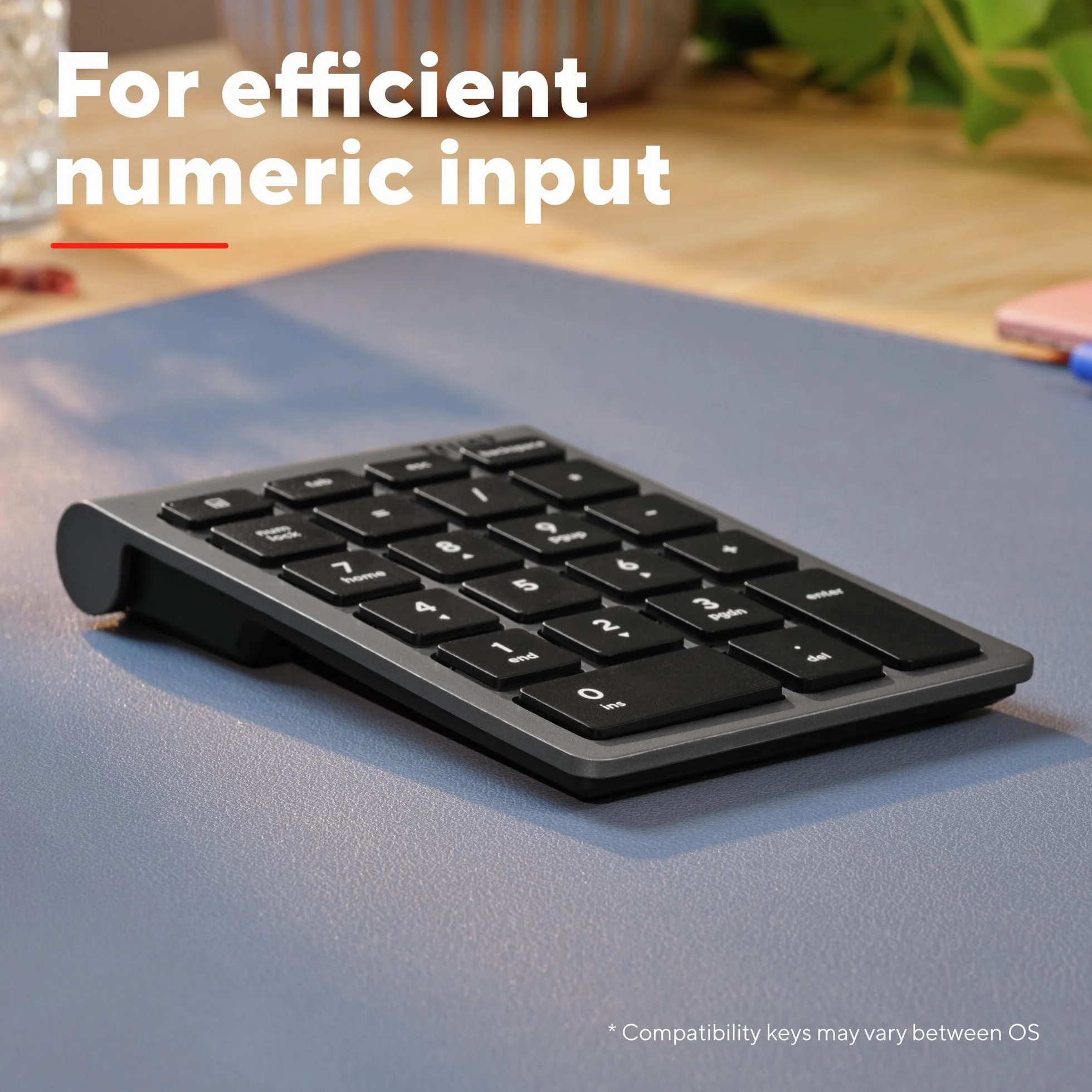 Trust Xalas Numpad bezprzewodowy do laptopa i komputera stacjonarnego, 22 przyciski, mini klawiatura, odbiornik micro USB 2,4 GHz, klawiatura numeryczna, klawiatura numeryczna, srebrna