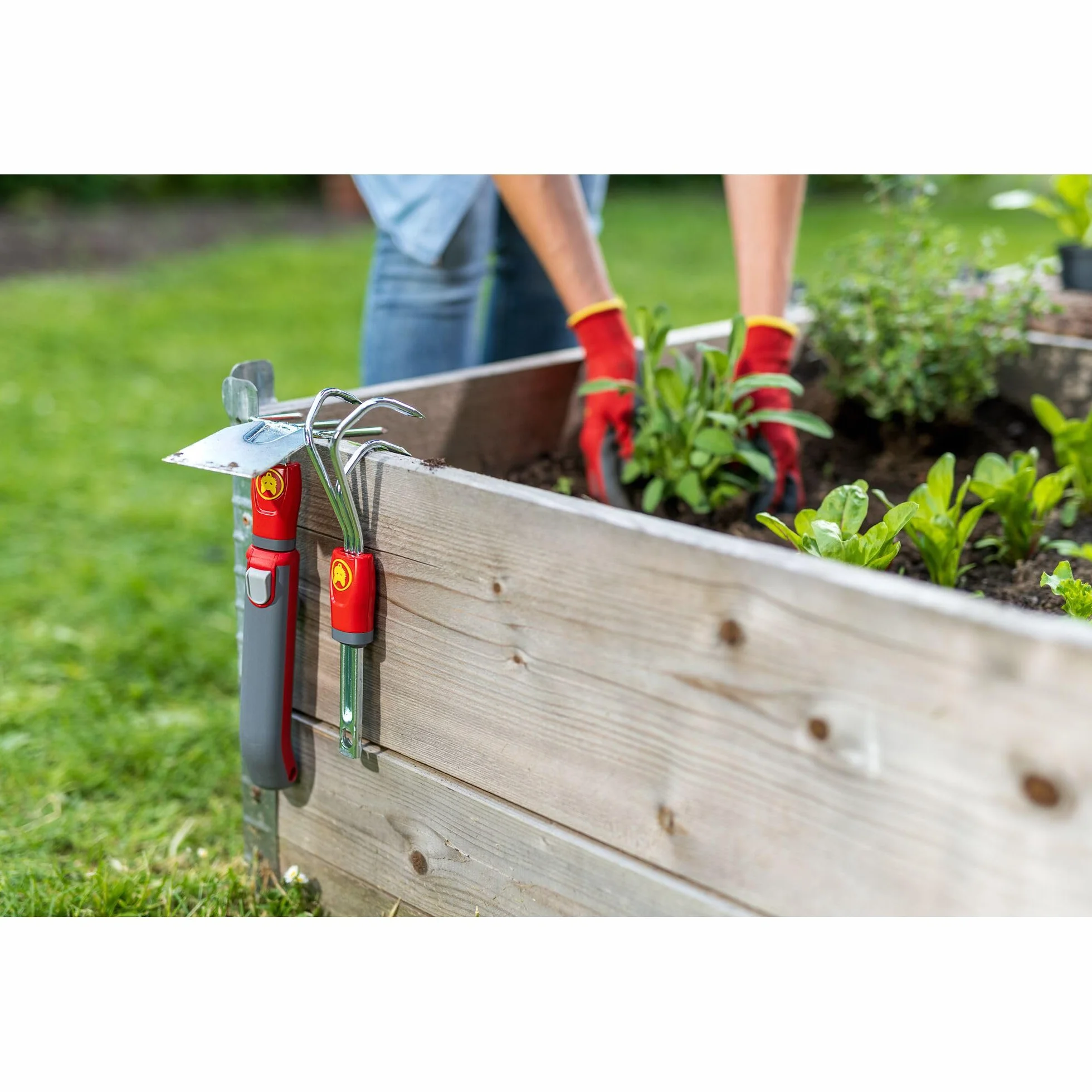 WOLF Garten - Uchwyt ZM 015; idealny do wszystkich mini-star mini i ściągaczek FW-M, wycieraczek EW-M i szufelką BK-M; 15 cm; 71AED014650