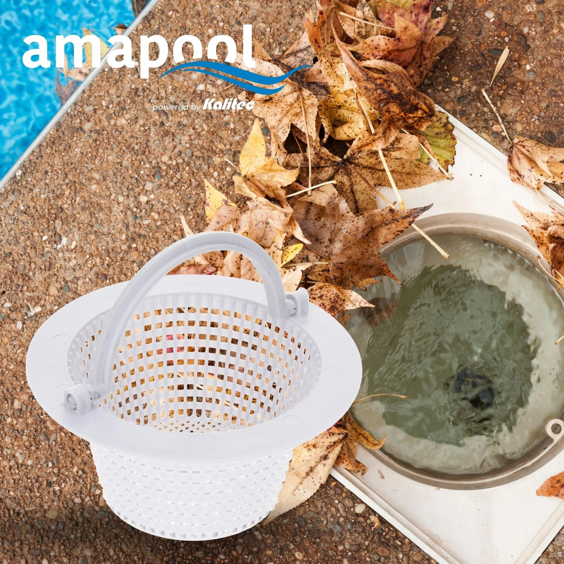 Amapool koszyk do skimmera 16 cm średnicy - koszyk zamienny do standardowego skimmera - wstępny filtr basenowy sitko - z uchwytem do łatwego wyjmowania - odporny na chlor i stabilny