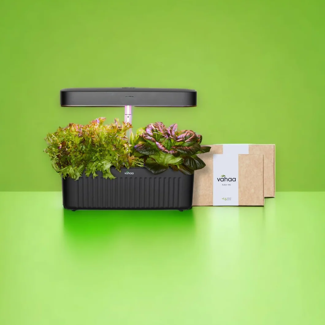 Zestaw do nasion Smart Garden Seed Pod Zestaw, Lettuce Mix, 6 sztuk, do użytku wewnątrz