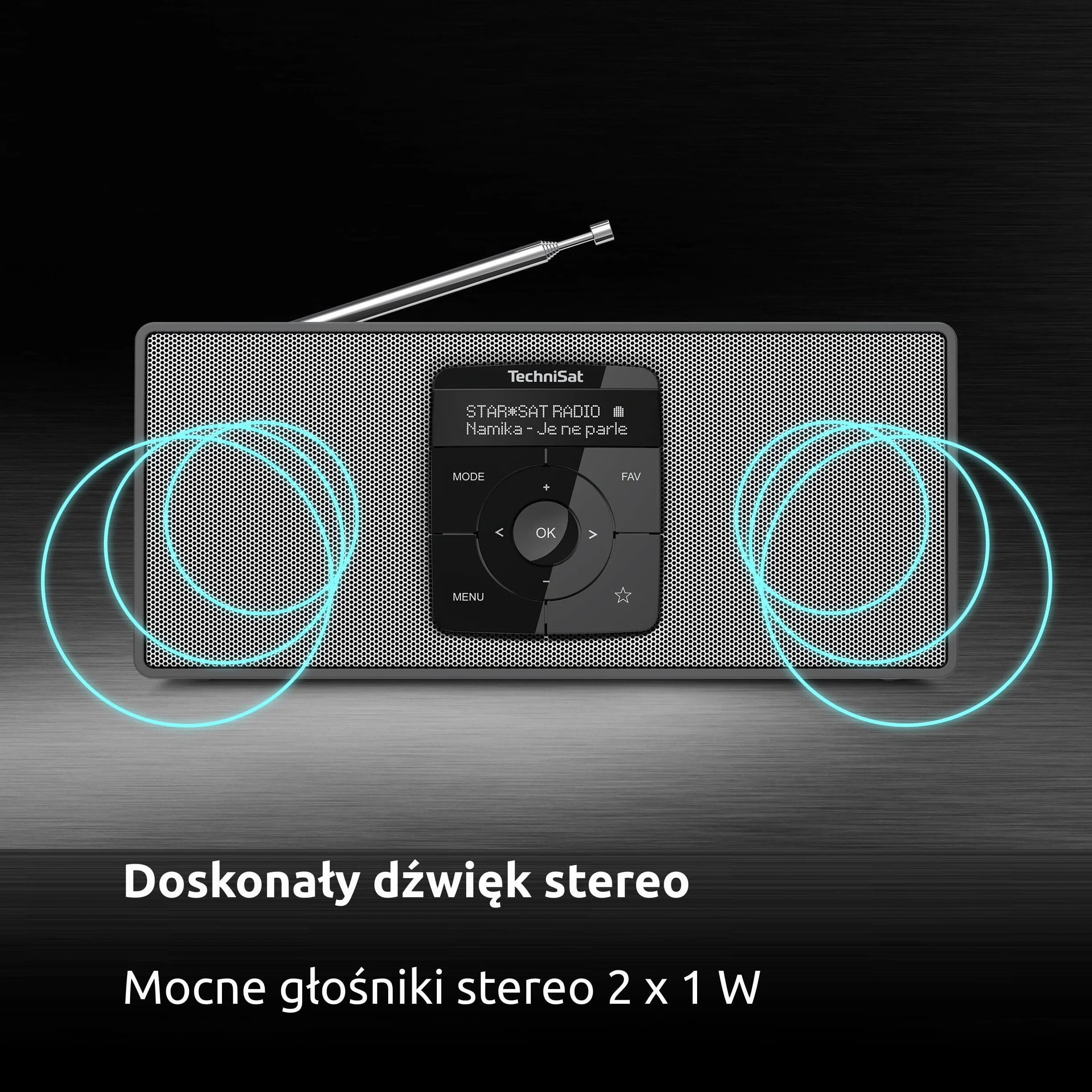 Technisat Digitradio 2 S 0000/3911 Radio, Czarny/Srebrny, 10.9 x 24.5 x 4.7 cm