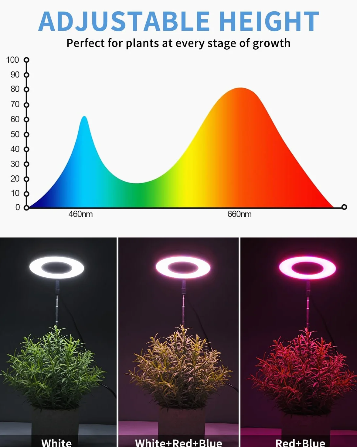 Lampa LED, pełne spektrum światła do roślin pokojowych, 3 tryby świecenia i 10 jasności, regulowana wysokość LED, lampa do wzrostu roślin z programatorem czasowym 3/9/12 h z adapterem USB