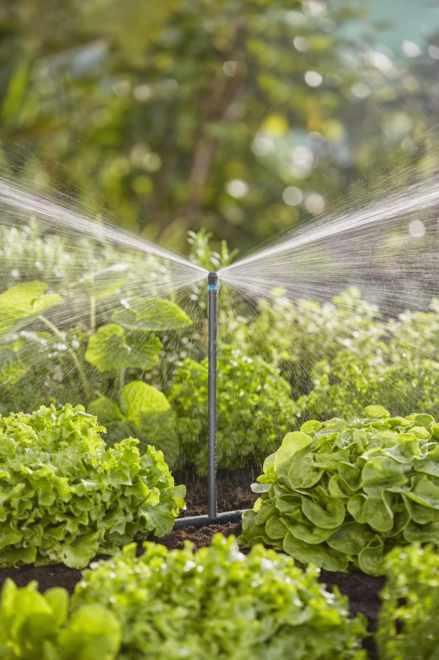 Gardena system Micro-Drip dysza pasmowa: Dysza rozpylająca do systemu nawadniania, do wąskich podłużnych powierzchni maks. 0,6 x 5,5 m, prosta technika połączeniowa (13319-20)