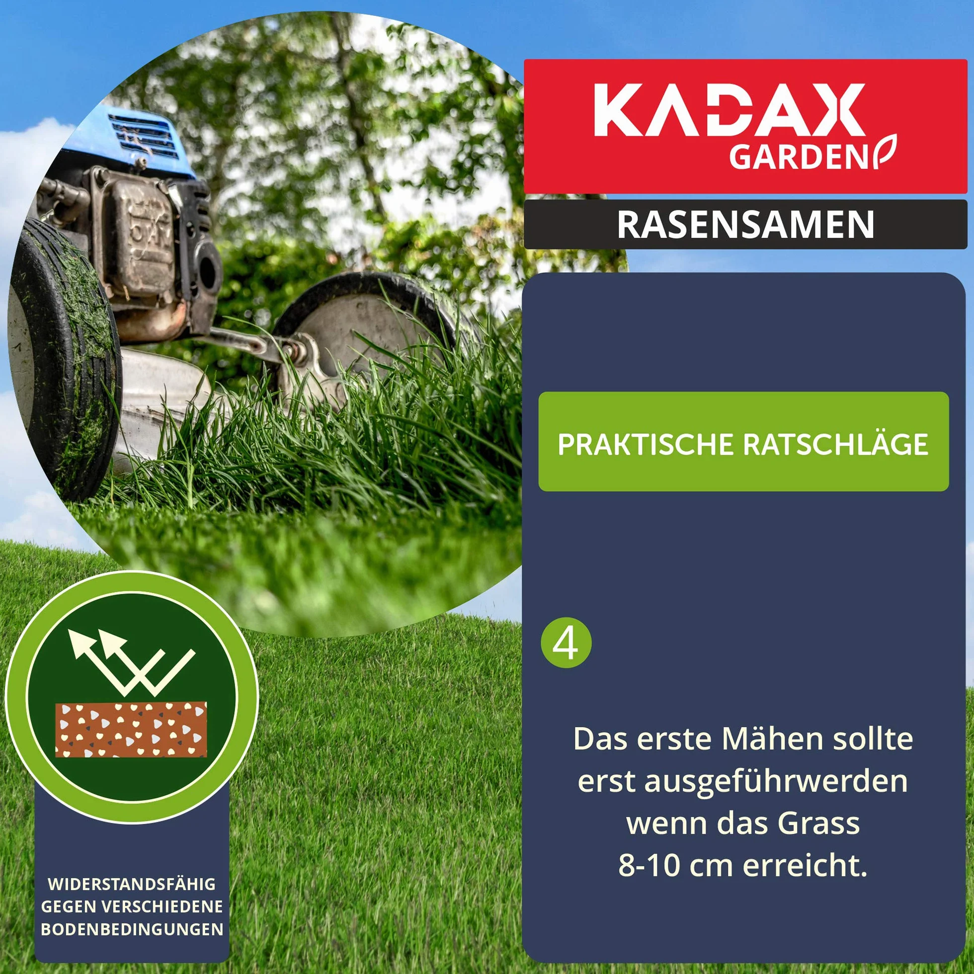 KADAX mieszanka nasion trawy uniwersalna 400 m² 10 kg