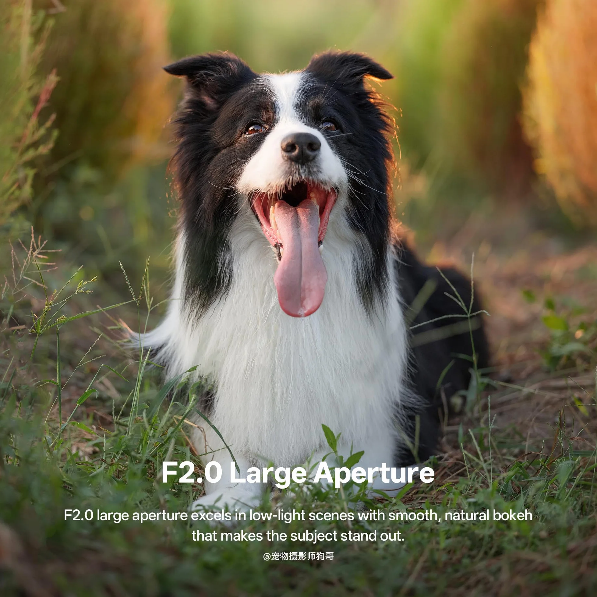 VILTROX Obiektyw 85 mm f/2.0 EVO FE Pełnoklatkowy obiektyw z dużą przysłoną Auto Focus Prime Kompatybilny z aparatami Sony E-Mount A7III A7RIII A7IV A7RIV A9 A1 FX3 A7RV A7CR A7CII A93 ZVE1 ZV-E10