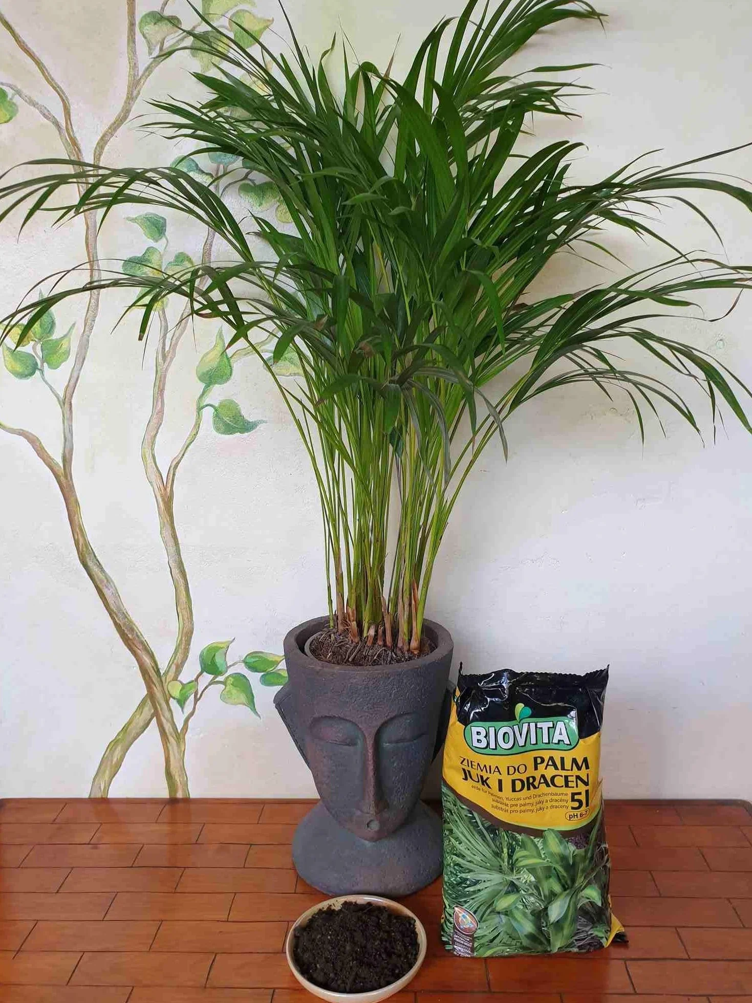 Ziemia do Palm, Juk i Dracen - Podłoże do Roślin Zielonych - BIOVITA (5L)