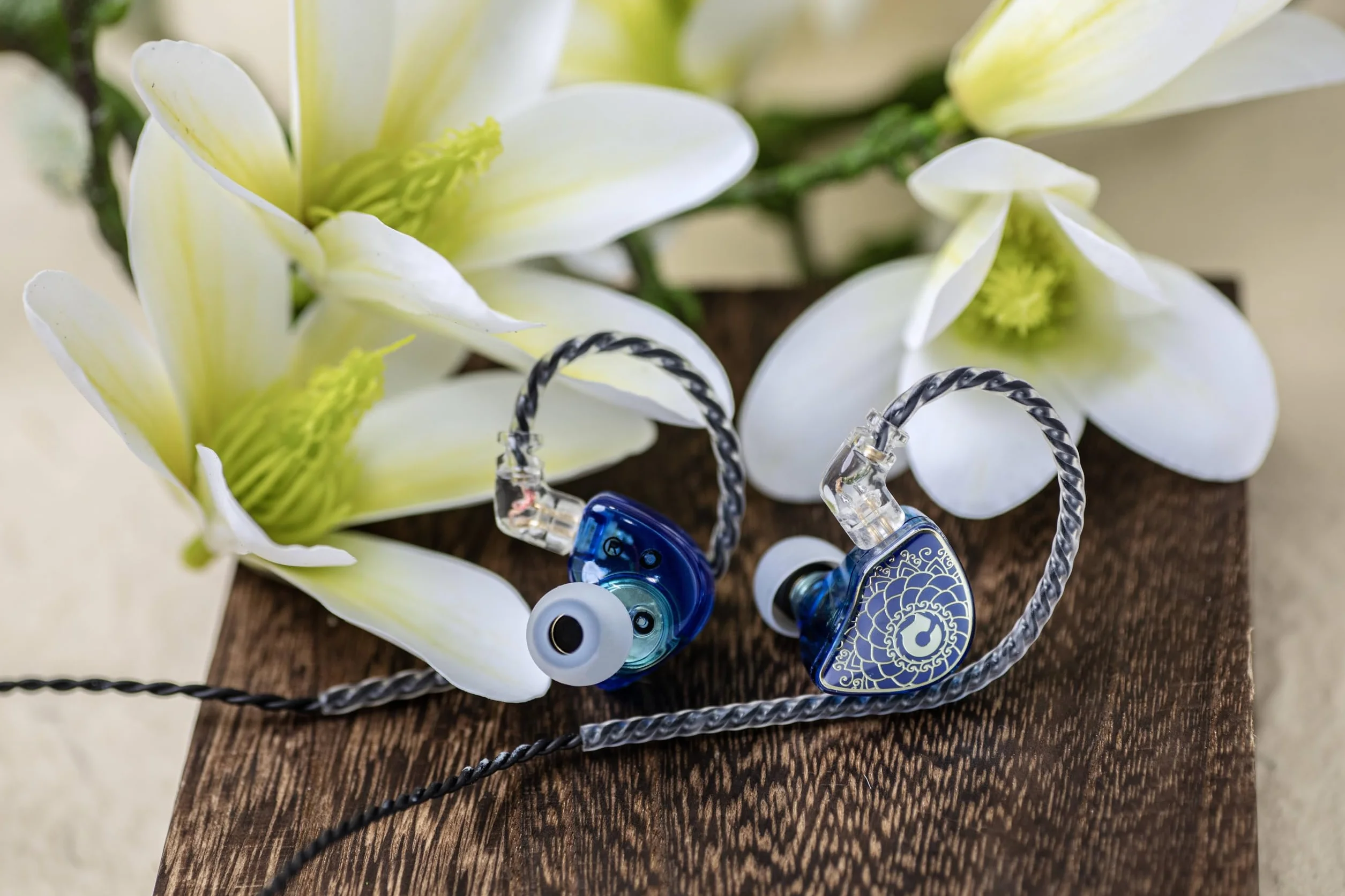 Linsoul TANGZU Wan’er S.G HiFi 10 mm dynamiczny przetwornik PET membrana douszne słuchawki z ergonomicznym kształtem, odłączany kabel 2-pinowy OFC w oplocie(Niebieski, z mikrofonem)