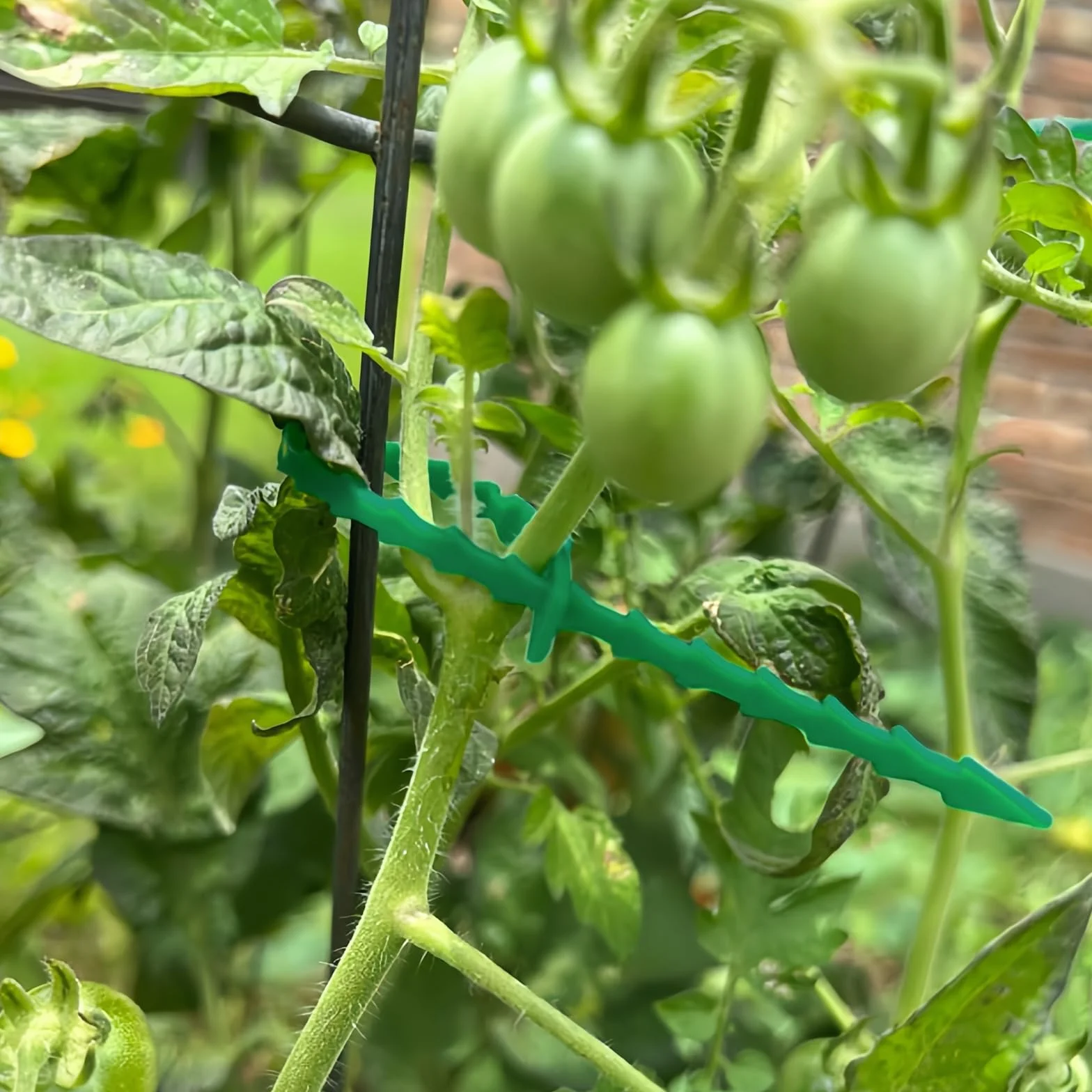 Opaski do roślin pnących 100 szt. zielone plastikowe wielokrotnego użytku 16,8 cm