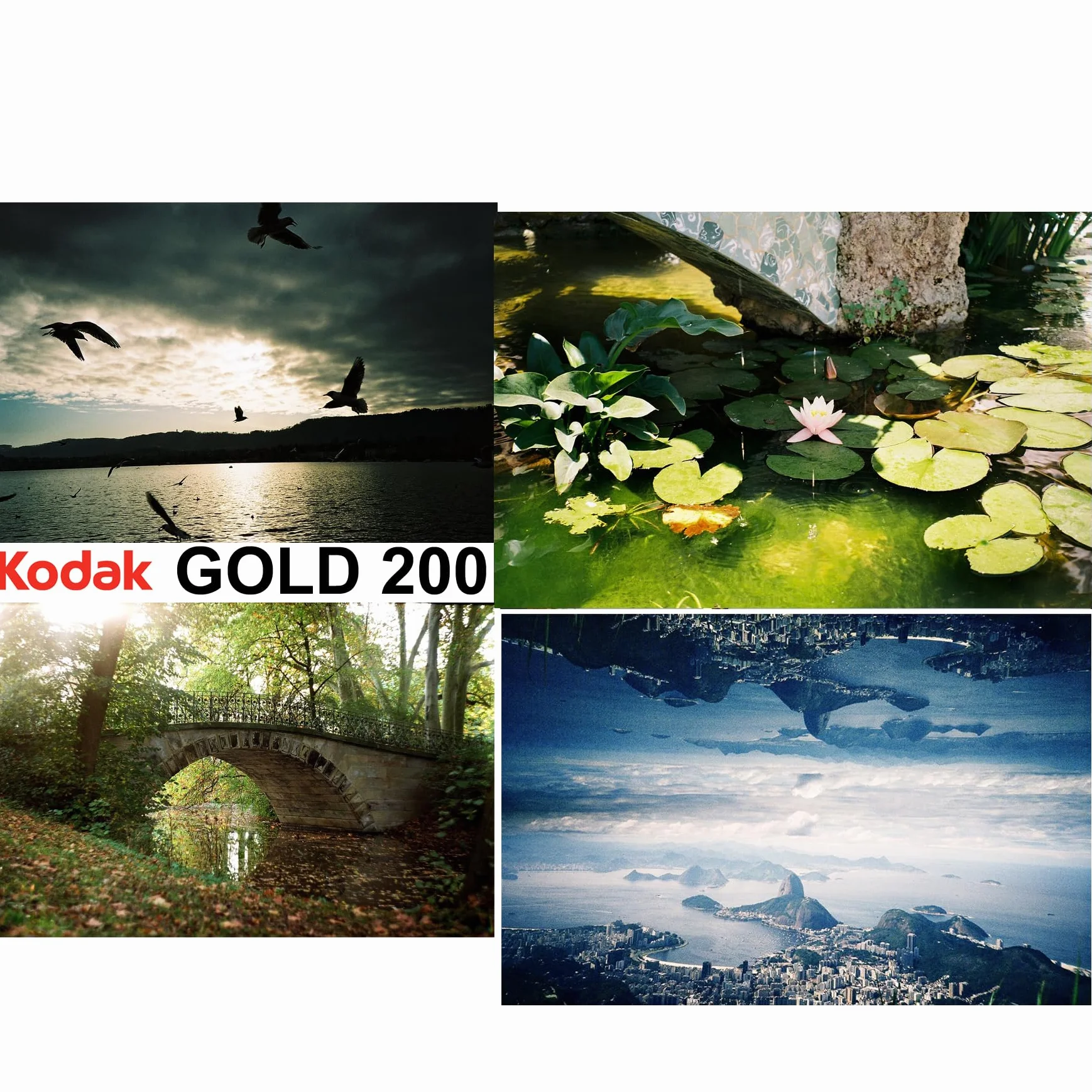 Kodak Złoto 200ASA 35mm - 36 Exp pojedyncze