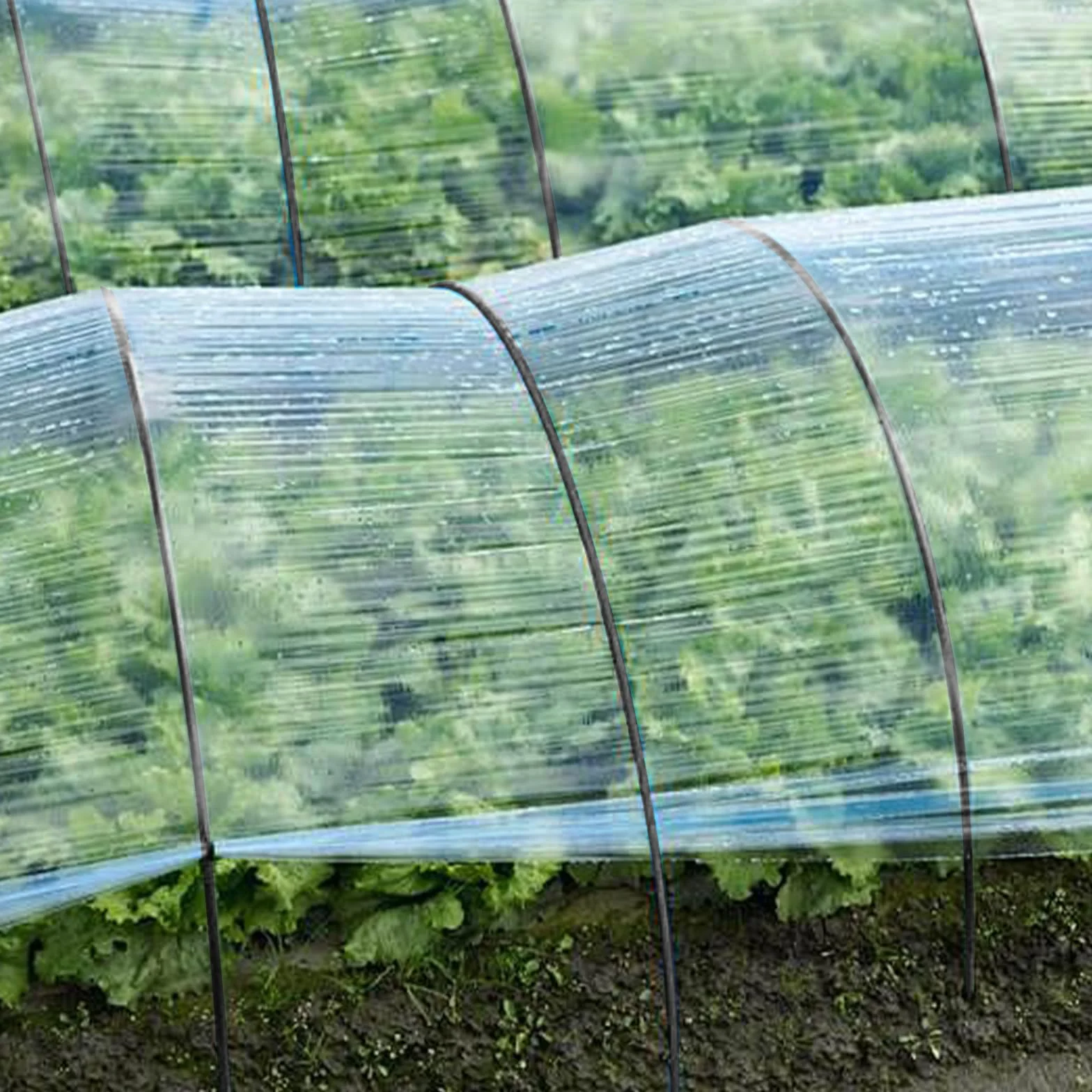 Łuki do roślin 60 sztuk tunel foliowy do podwyższonej grządki łuk szklarniowy 6 mm z powłoką z tworzywa sztucznego zestaw