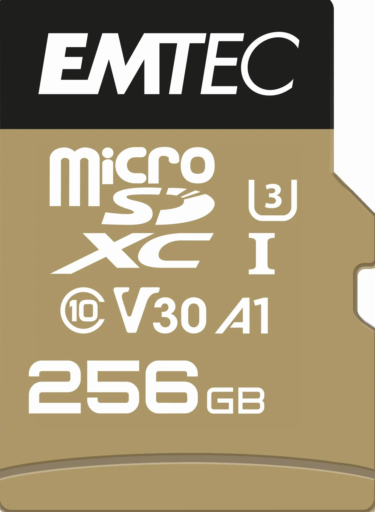 EMTEC SpeedIN Pro MicroSD USH I U3 A2 256GB