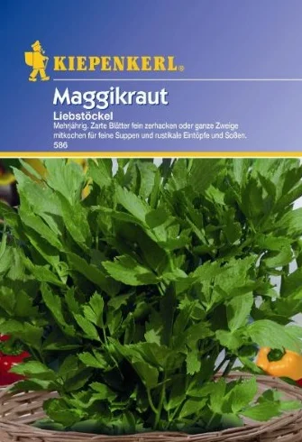 Kiepenkerl Lubczyk wieloletni