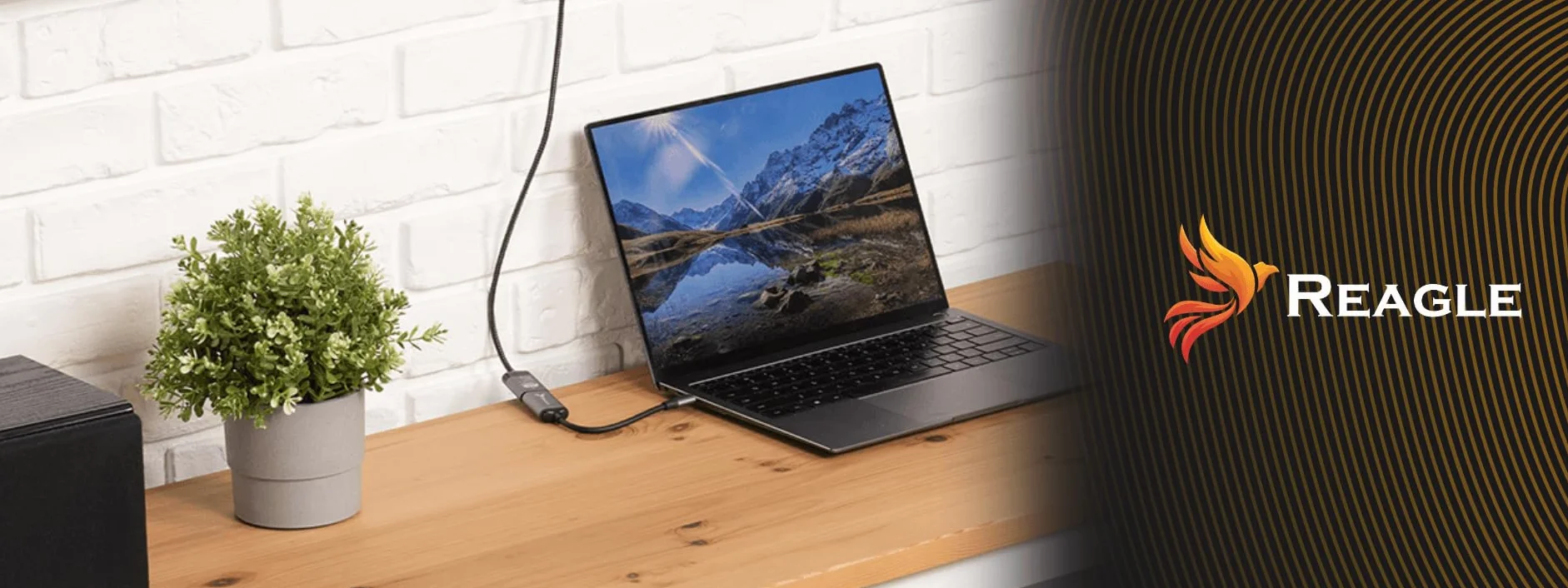 Reagle Adapter USB-C na VGA Full HD 1080p 60Hz USB Type-C 3.2 konwerter aluminiowa obudowa