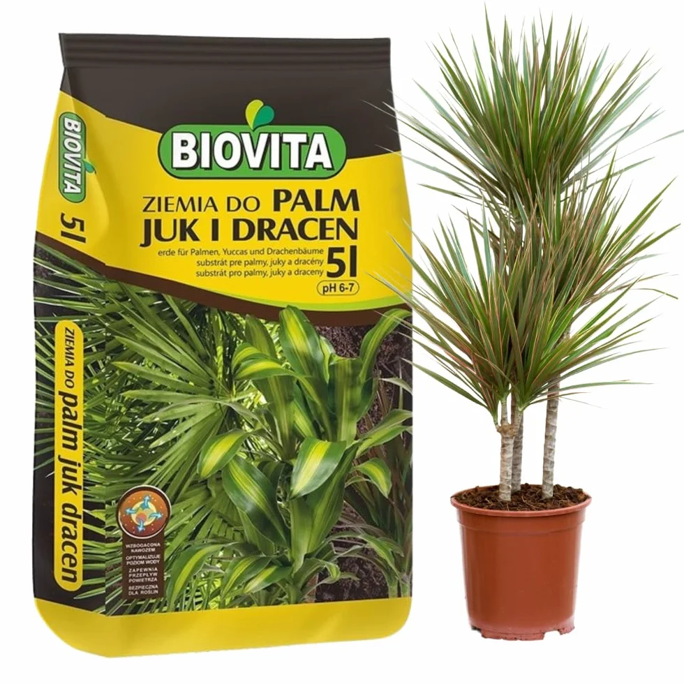Ziemia do Palm, Juk i Dracen - Podłoże do Roślin Zielonych - BIOVITA (5L)