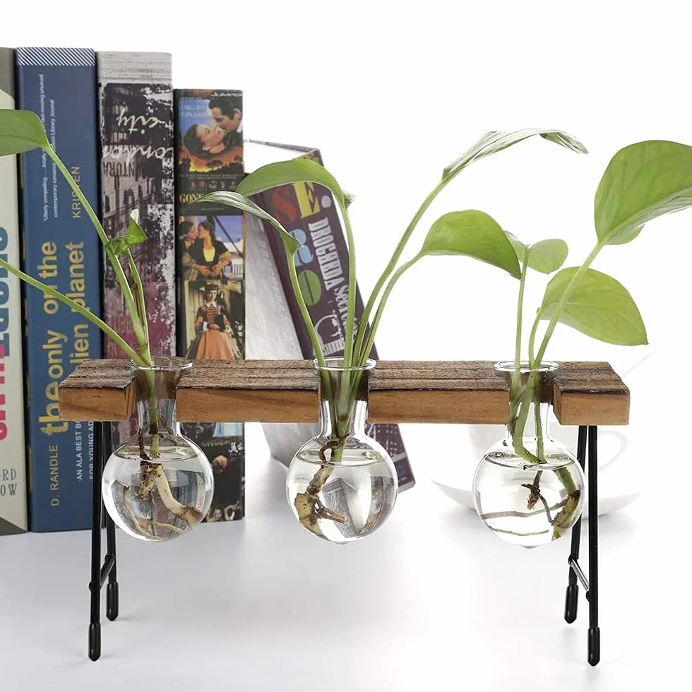 Hydroponiczny szklany wazon, wazon hydroponiczny, szkło do terrarium, z drewnianym regałem, na hydroponiki, rośliny, rośliny powietrzne, terrarium, domowe biuro, dekoracja ogrodowa, 3 wazony na kwiaty